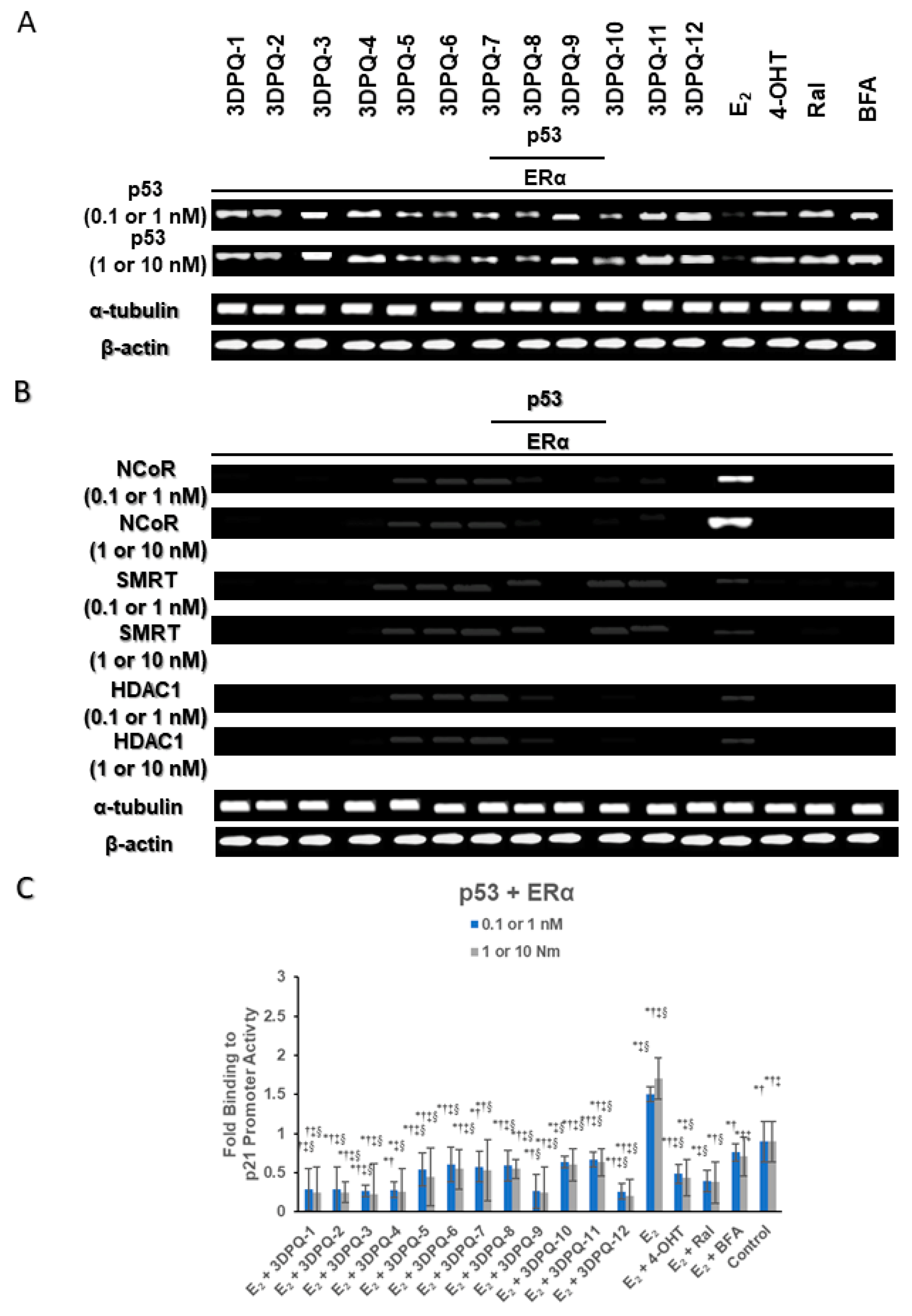 Molecules 27 02823 g008