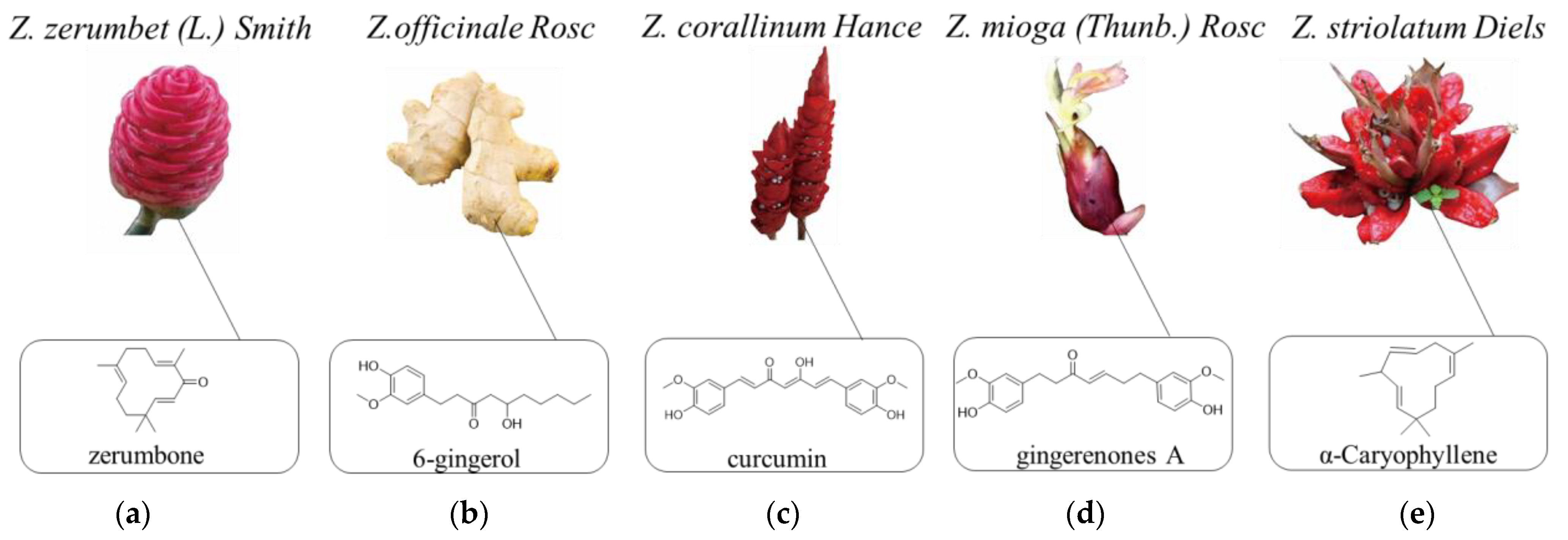 Molecules 27 02826 g001 Molecules 27 02826 g001