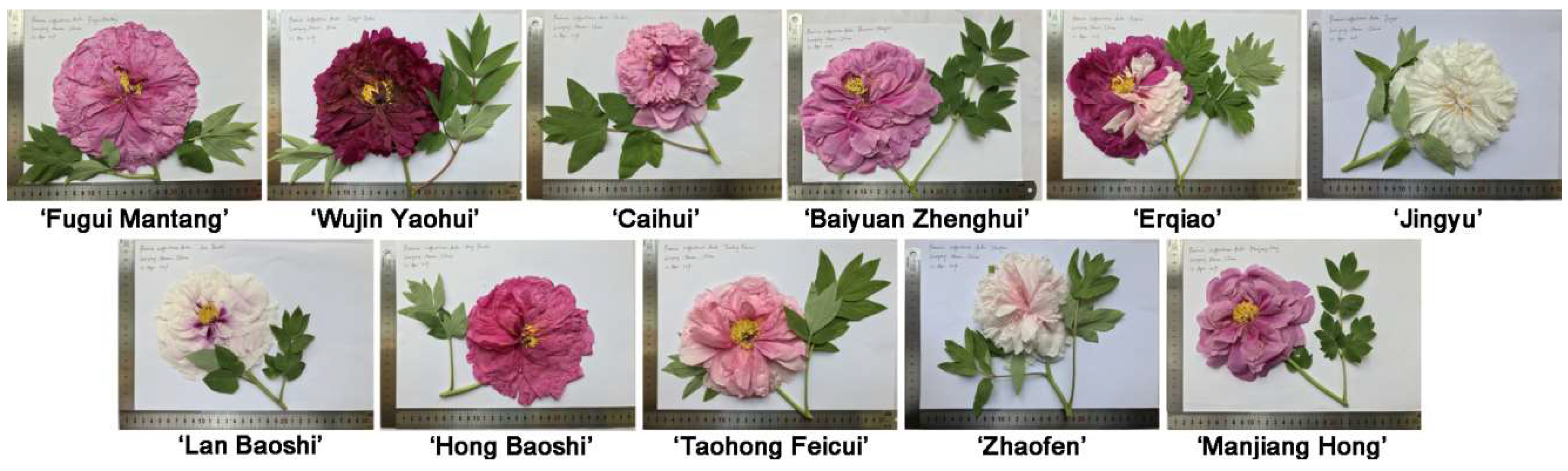 Molecules 27 02829 g001