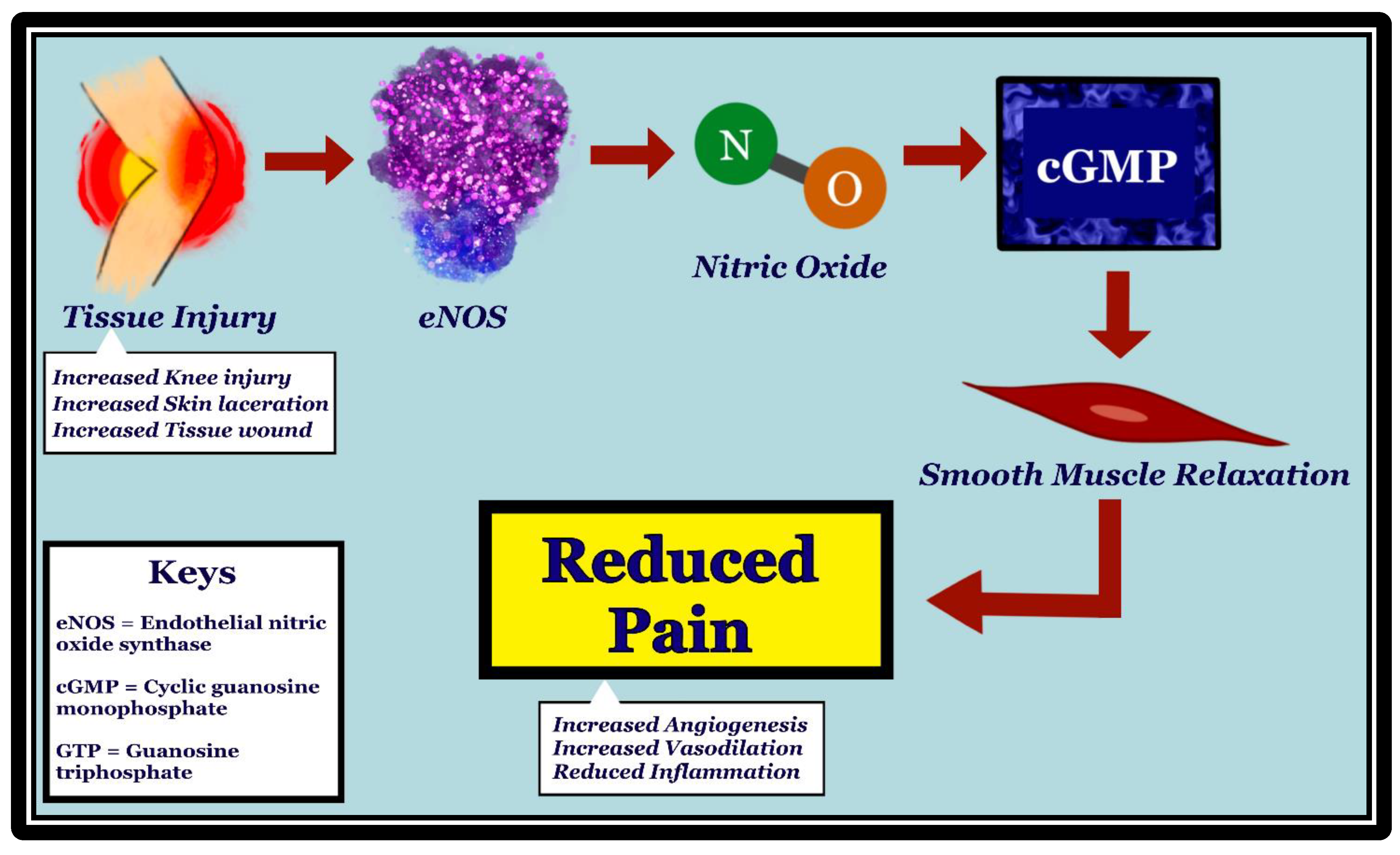 Molecules 27 02835 g002
