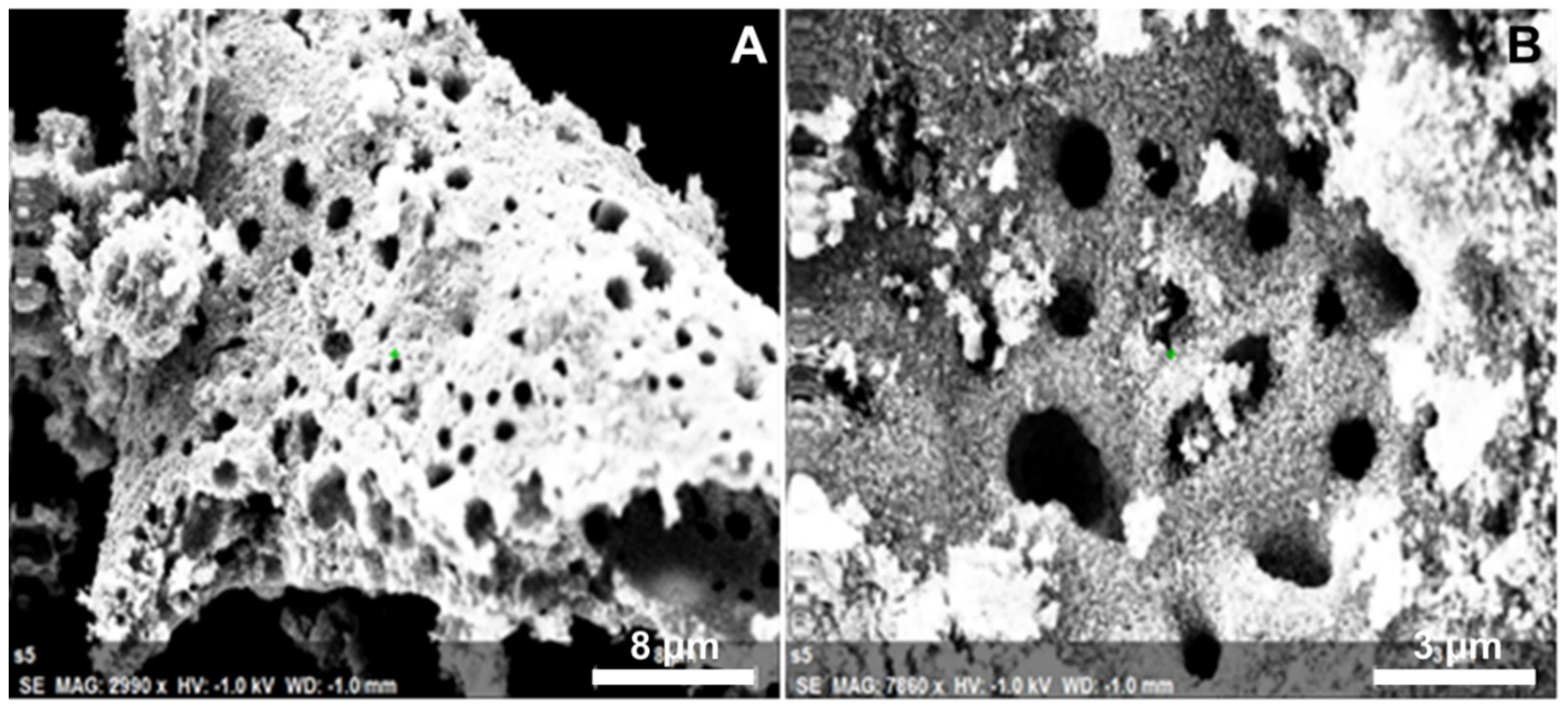 Molecules 27 02845 g004