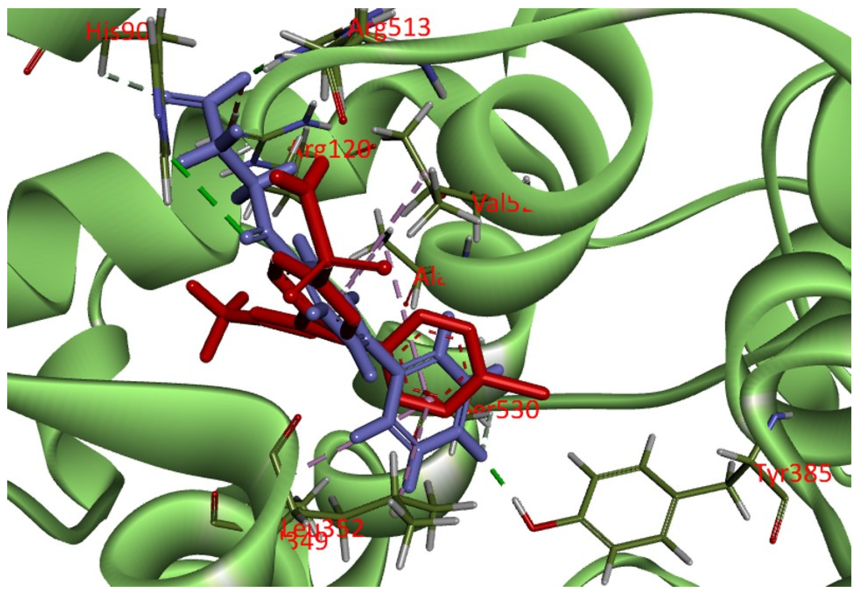 Molecules 27 02850 g010