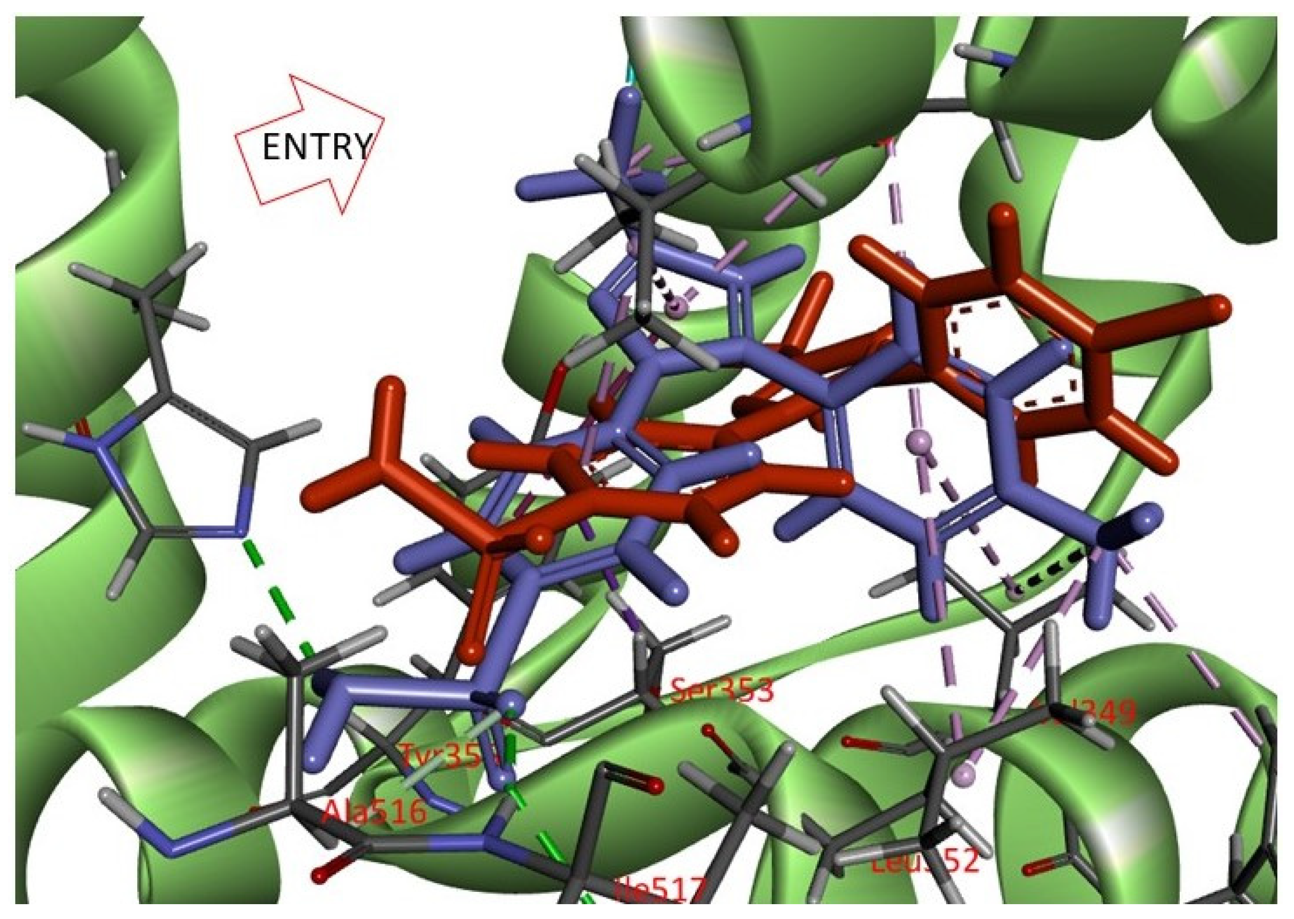 Molecules 27 02850 g012