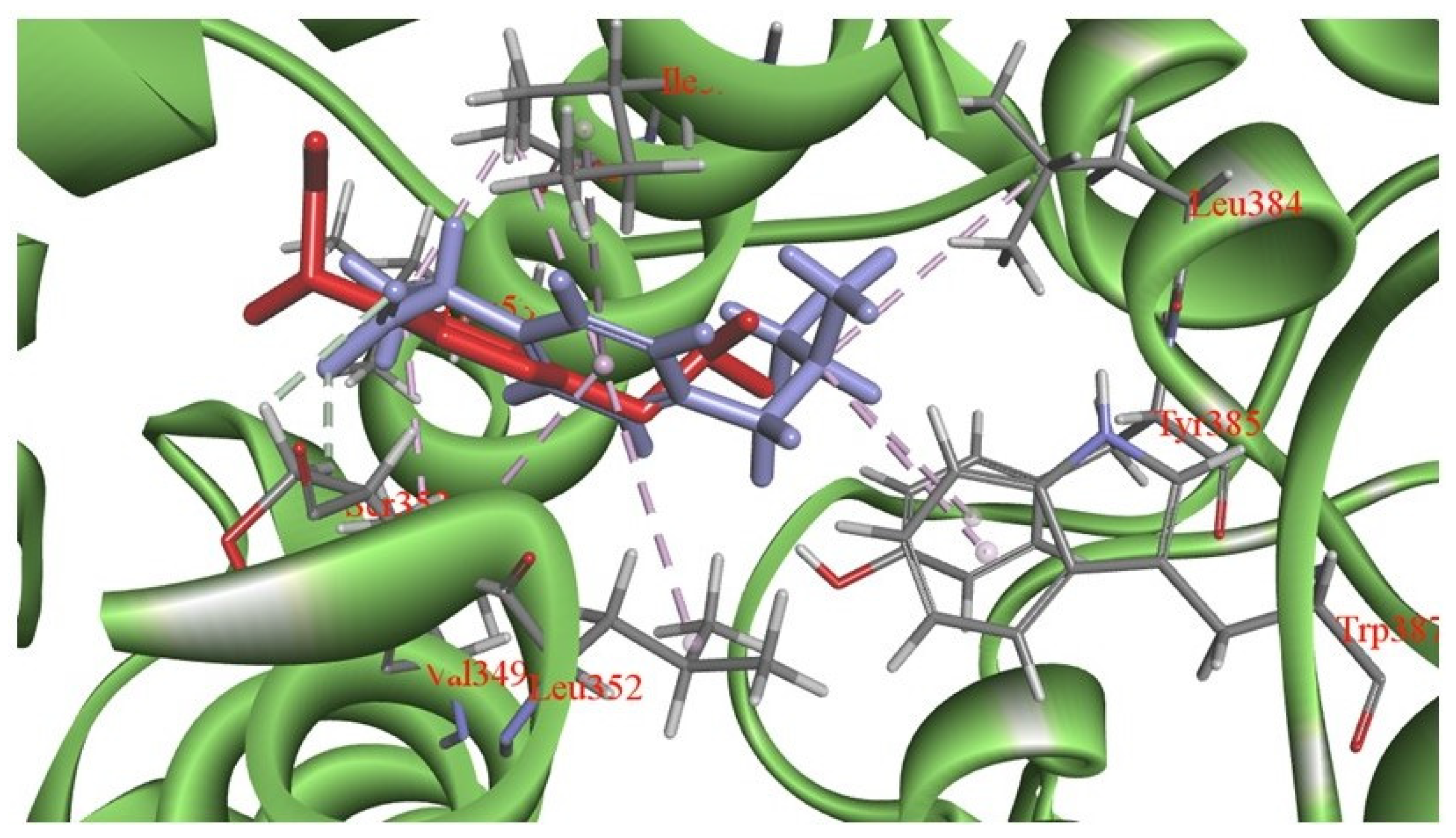 Molecules 27 02850 g013
