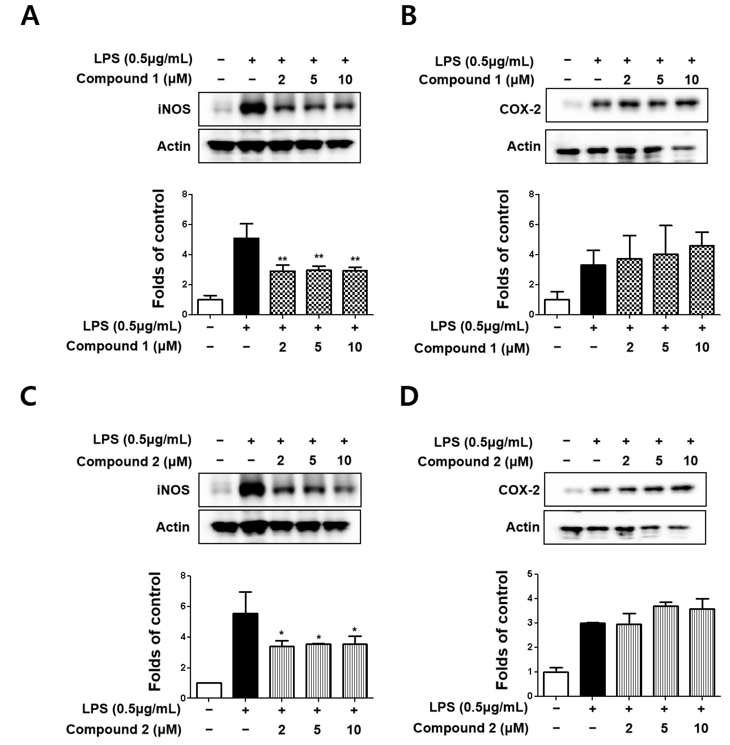 Molecules 27 02851 g003