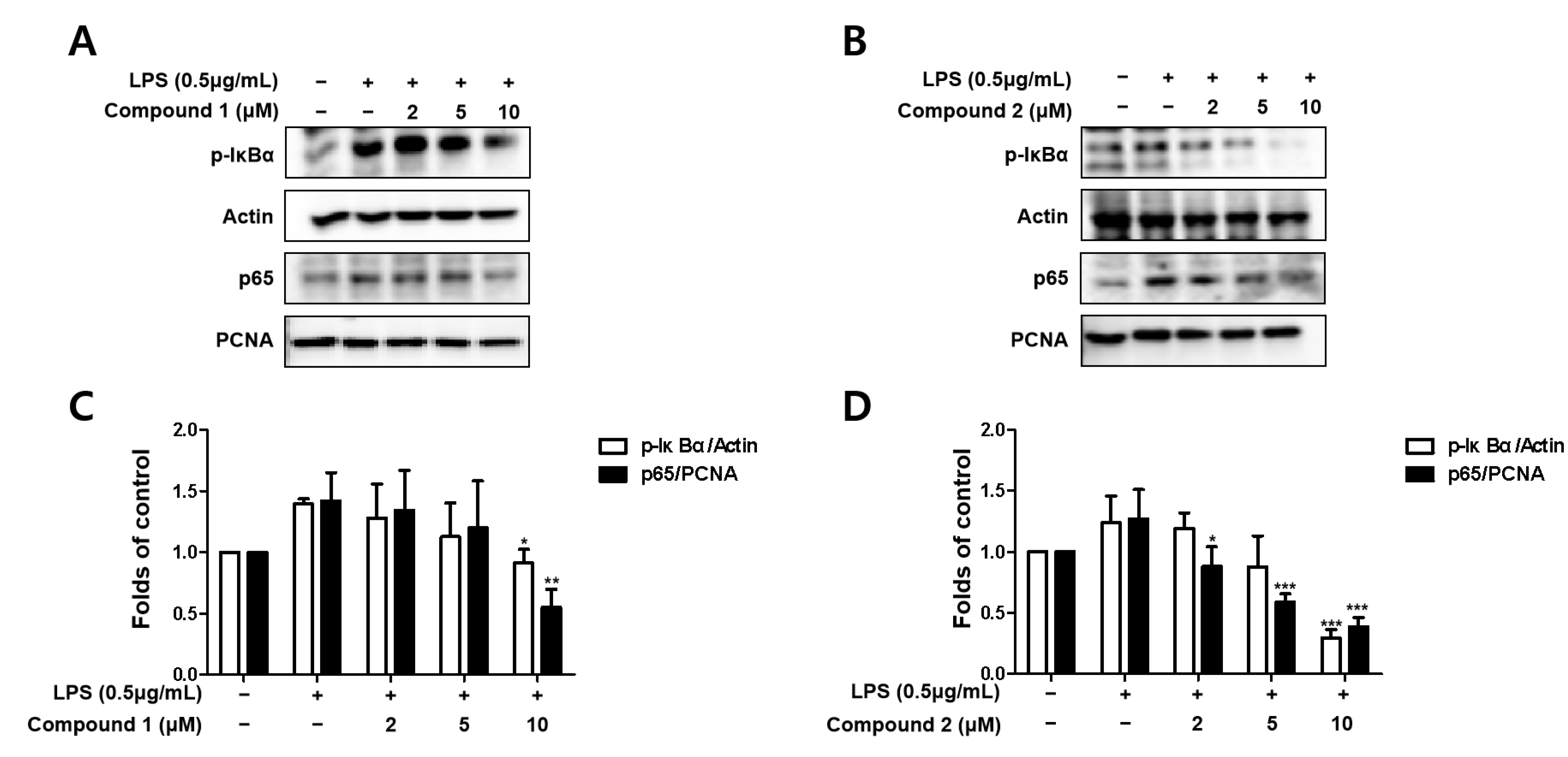 Molecules 27 02851 g005
