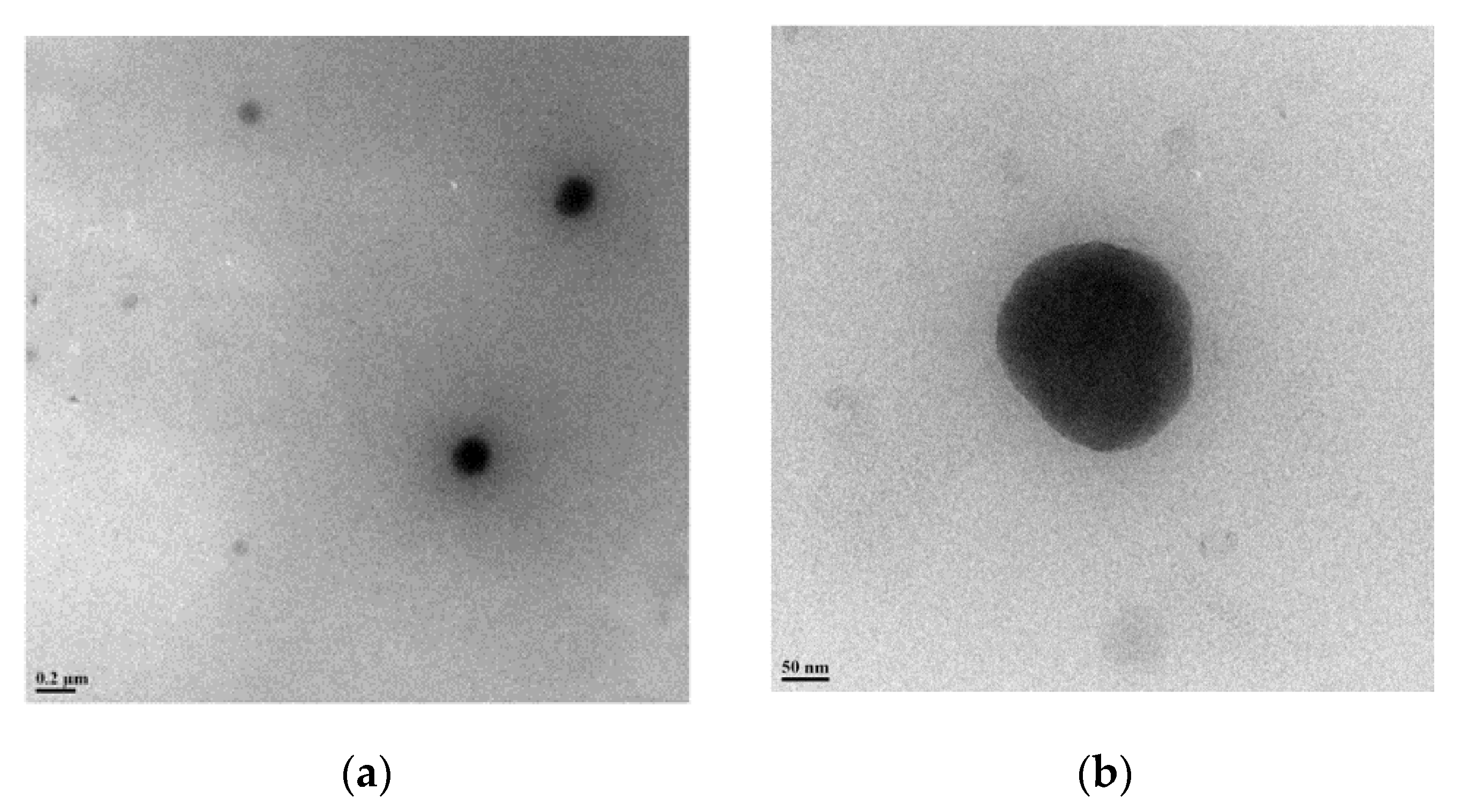 Molecules 27 02856 g002