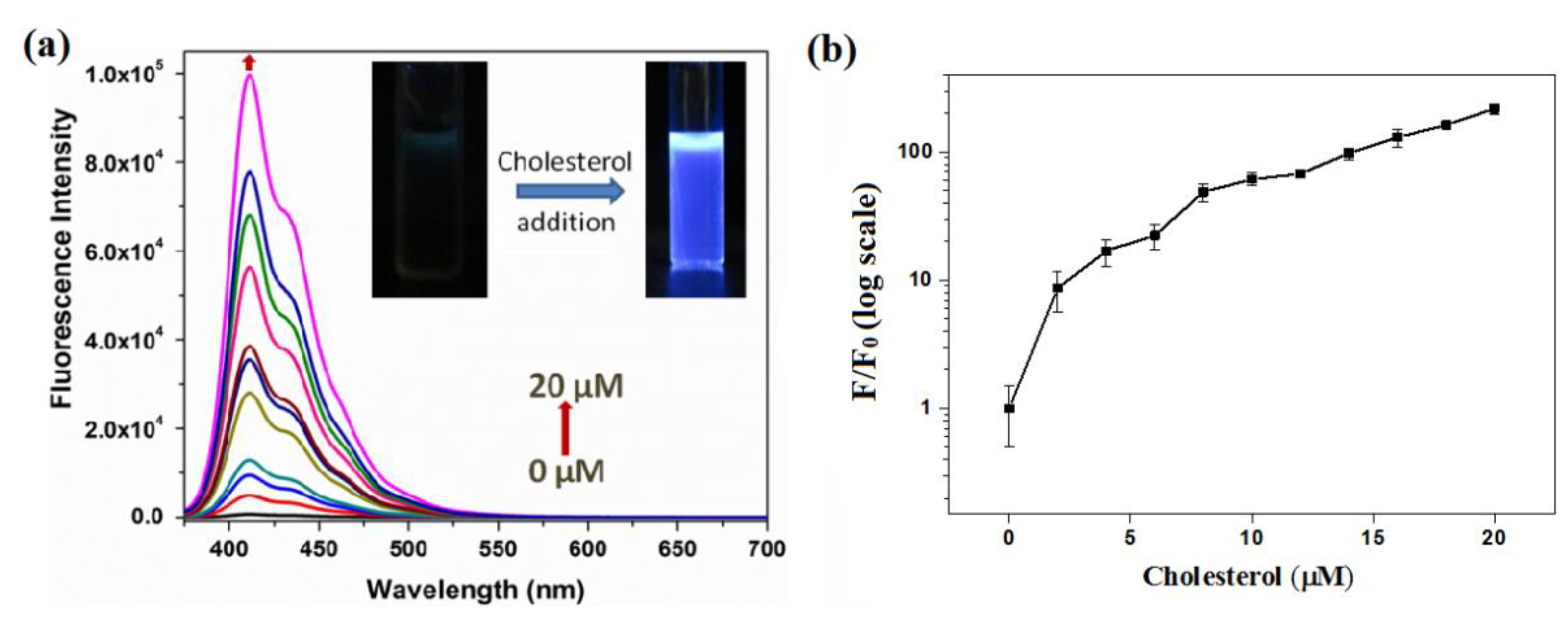 Molecules 27 02856 g004