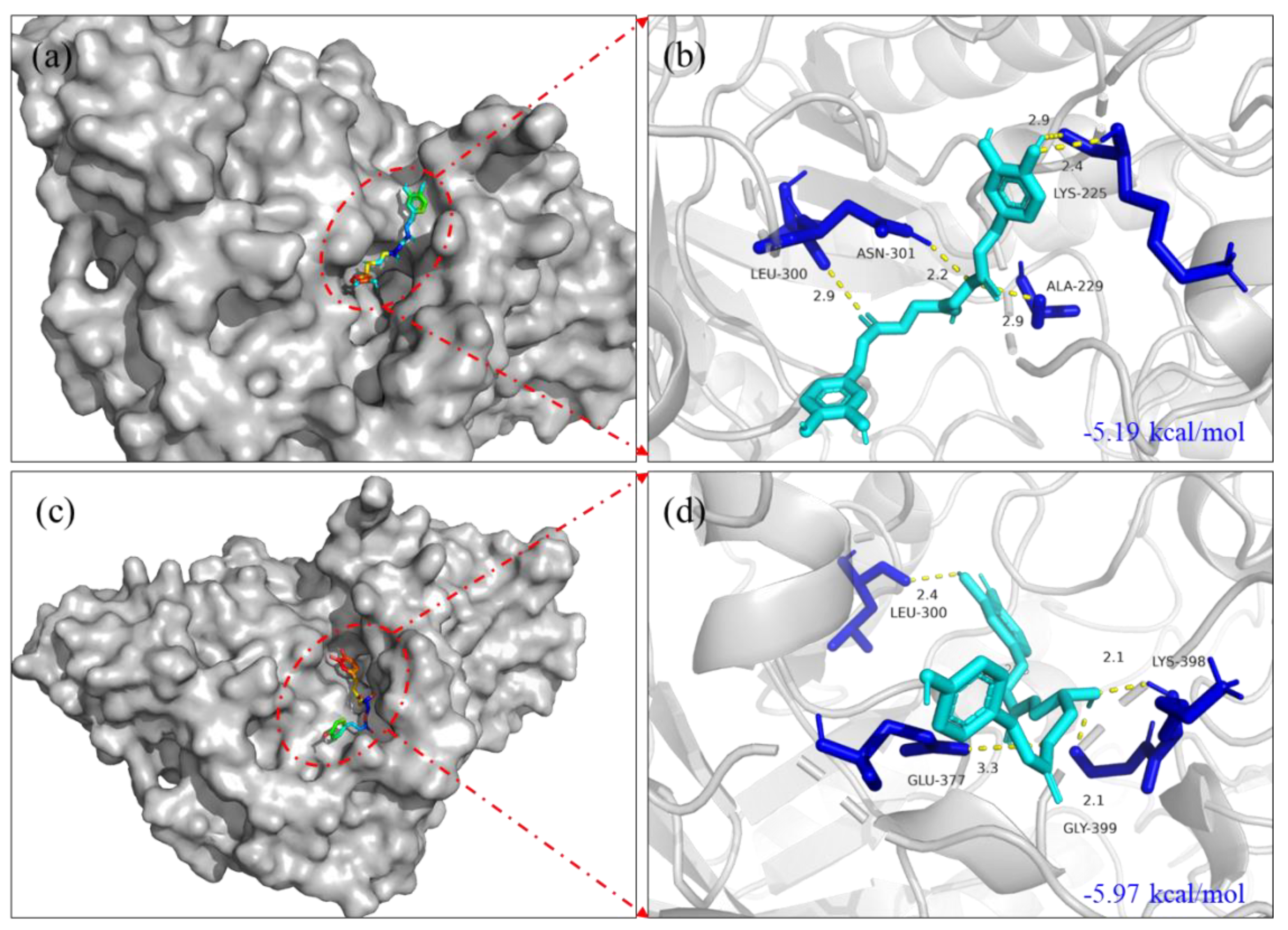 Molecules 27 02858 g003 Molecules 27 02858 g003