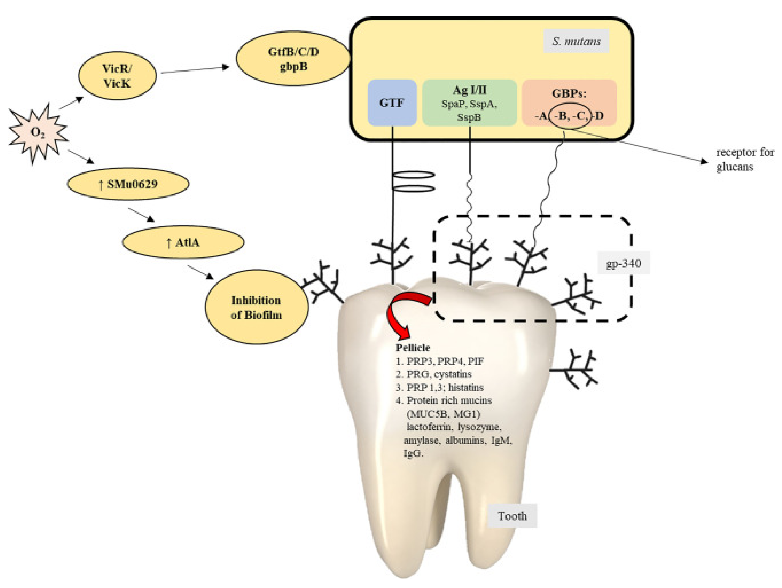 Molecules 27 02861 g002