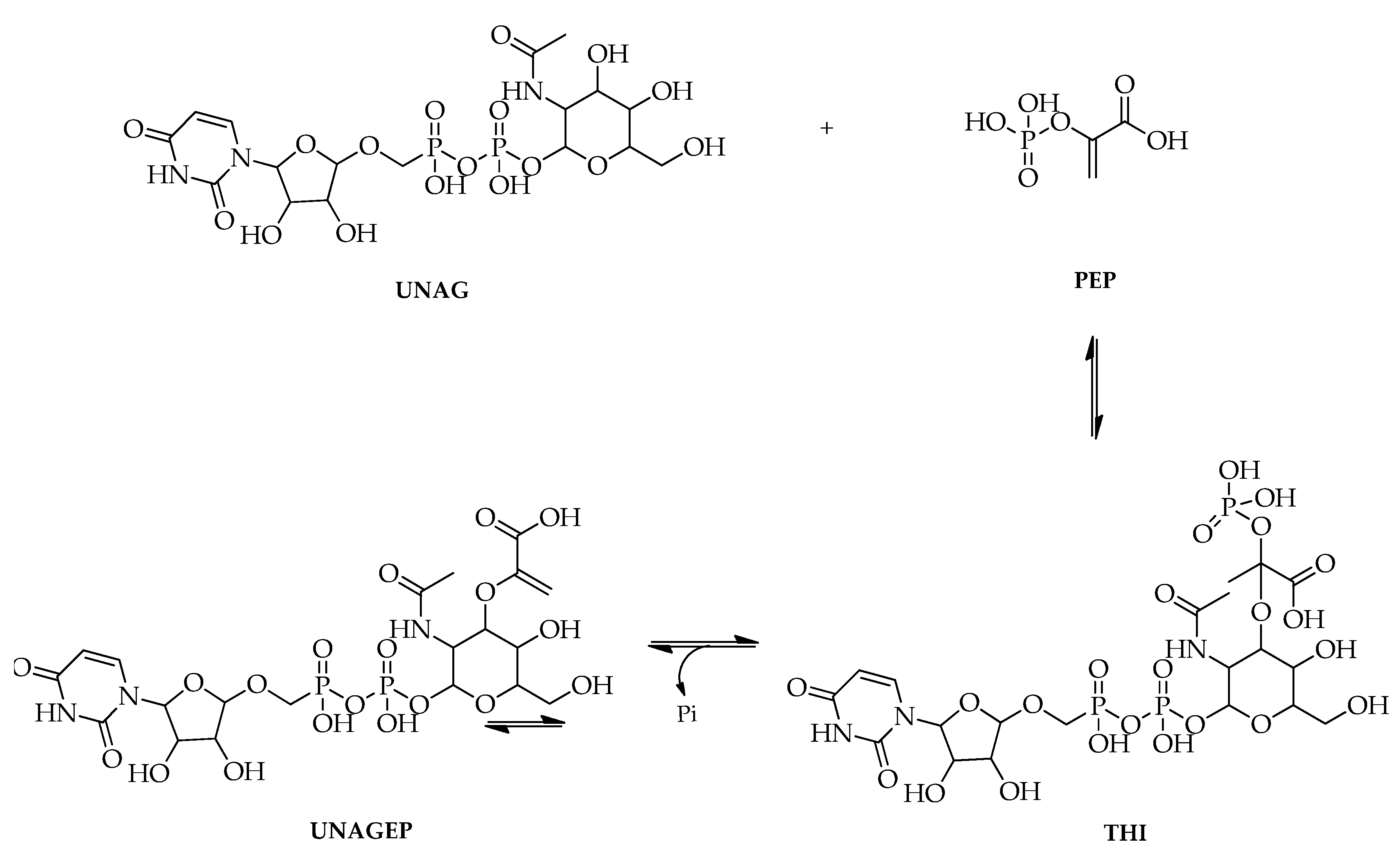 Molecules 27 02861 g004