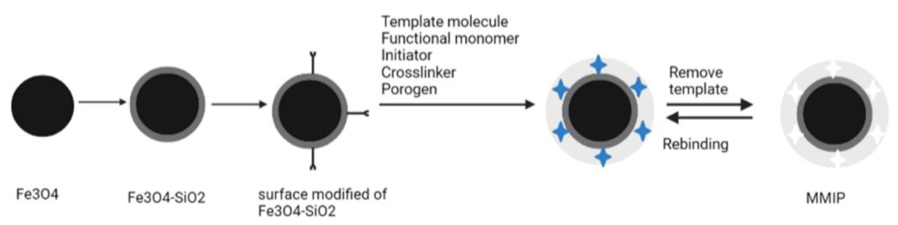 Molecules 27 02880 g004 Molecules 27 02880 g004