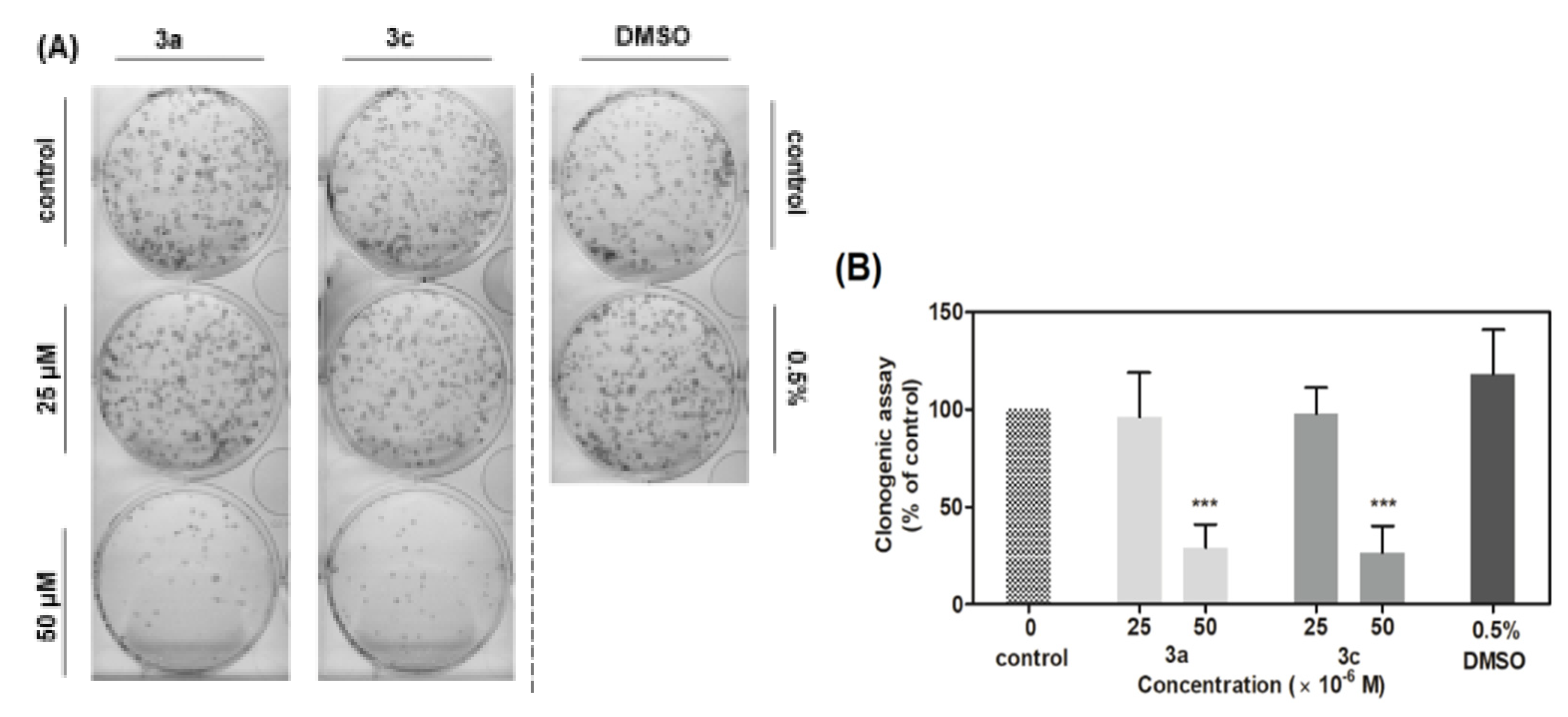 Molecules 27 02883 g010