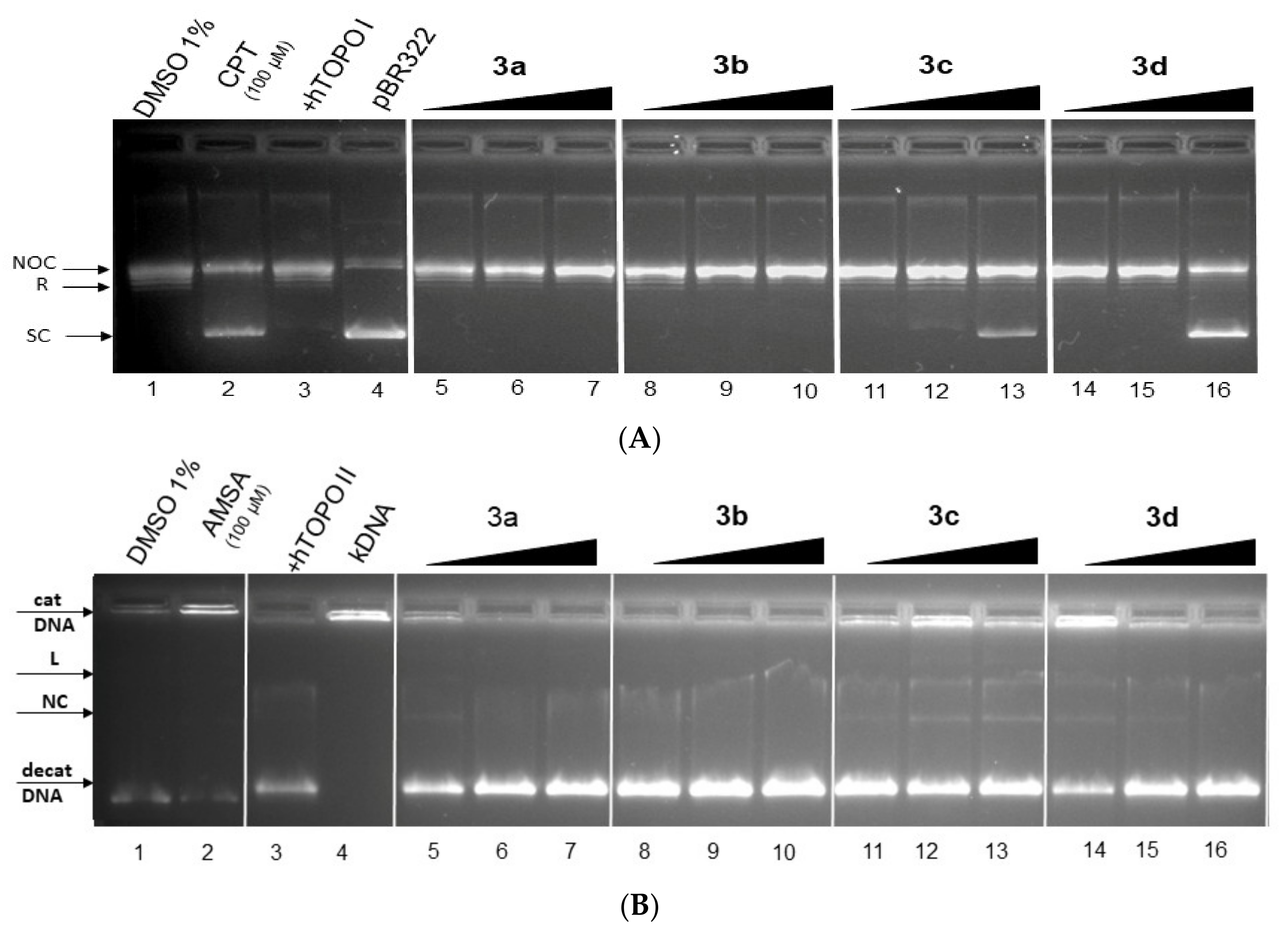 Molecules 27 02883 g012