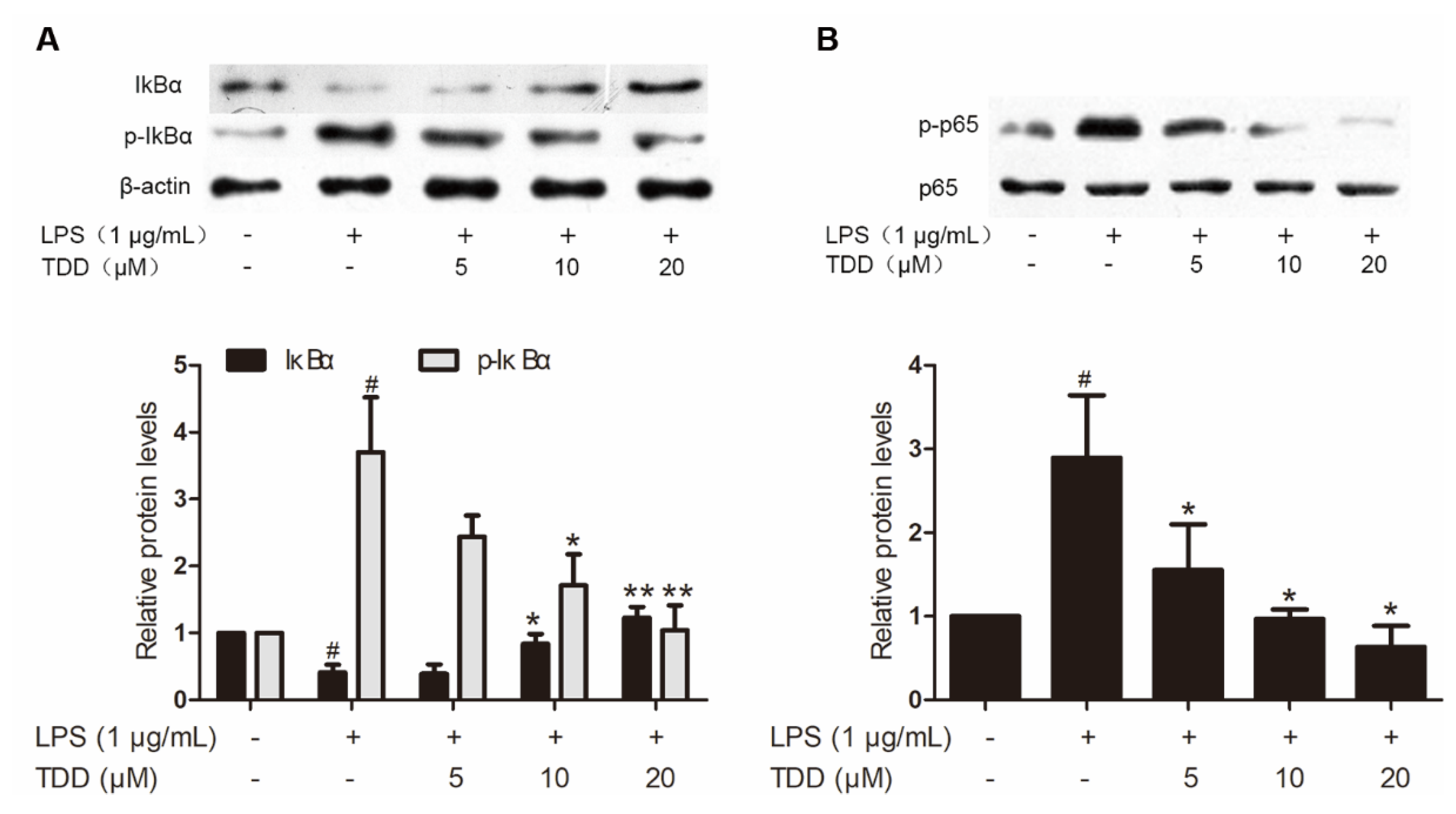 Molecules 27 02884 g004