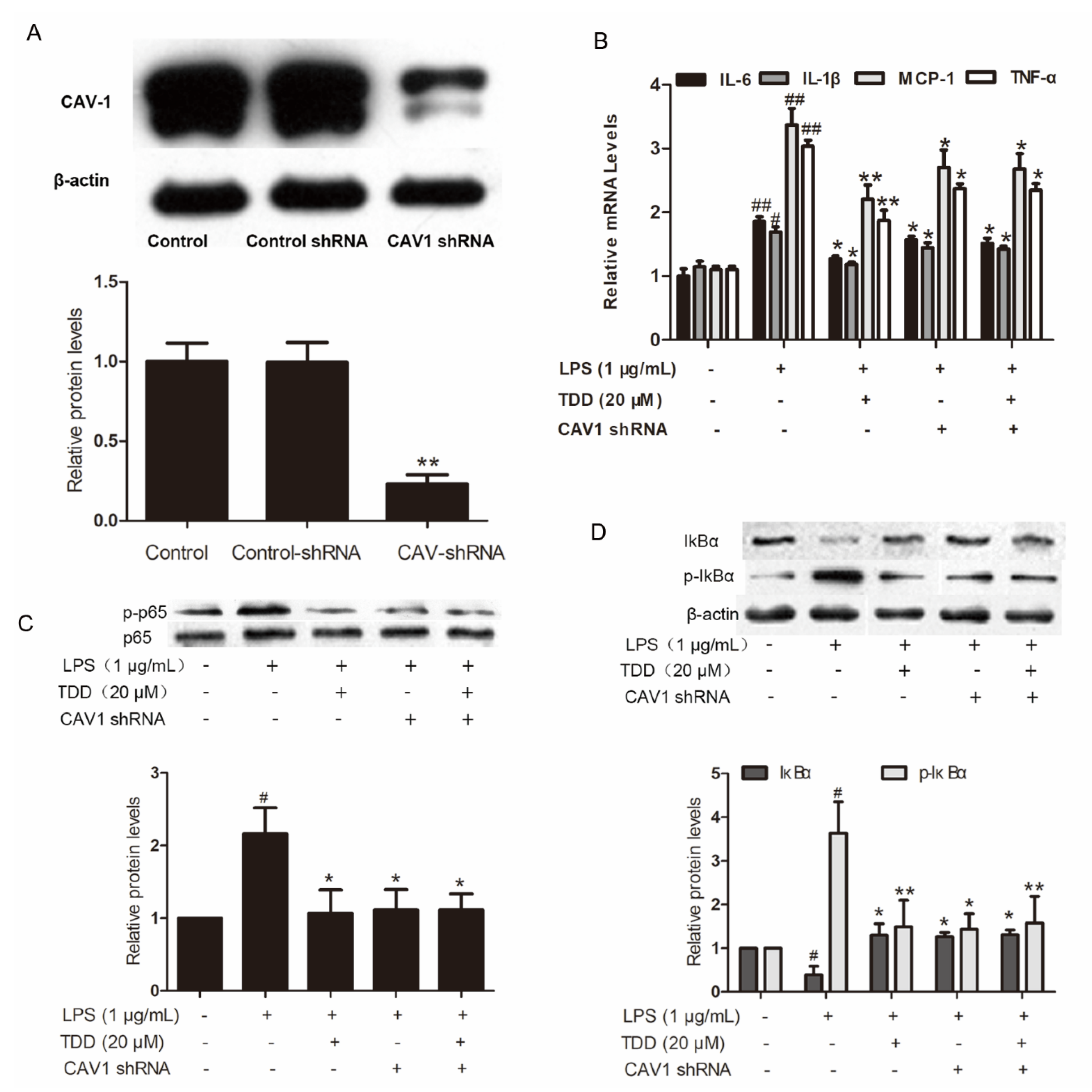 Molecules 27 02884 g006