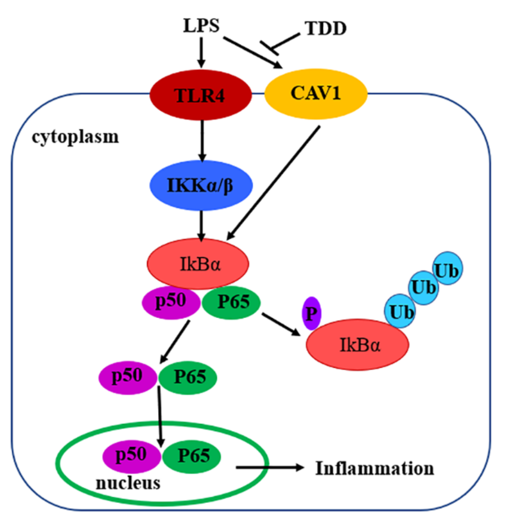 Molecules 27 02884 g010