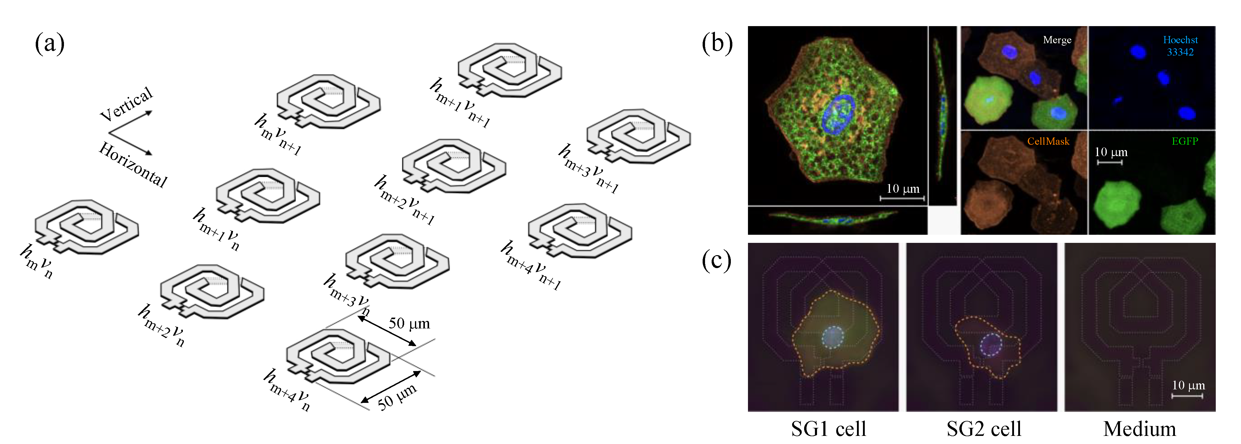 Molecules 27 02886 g001