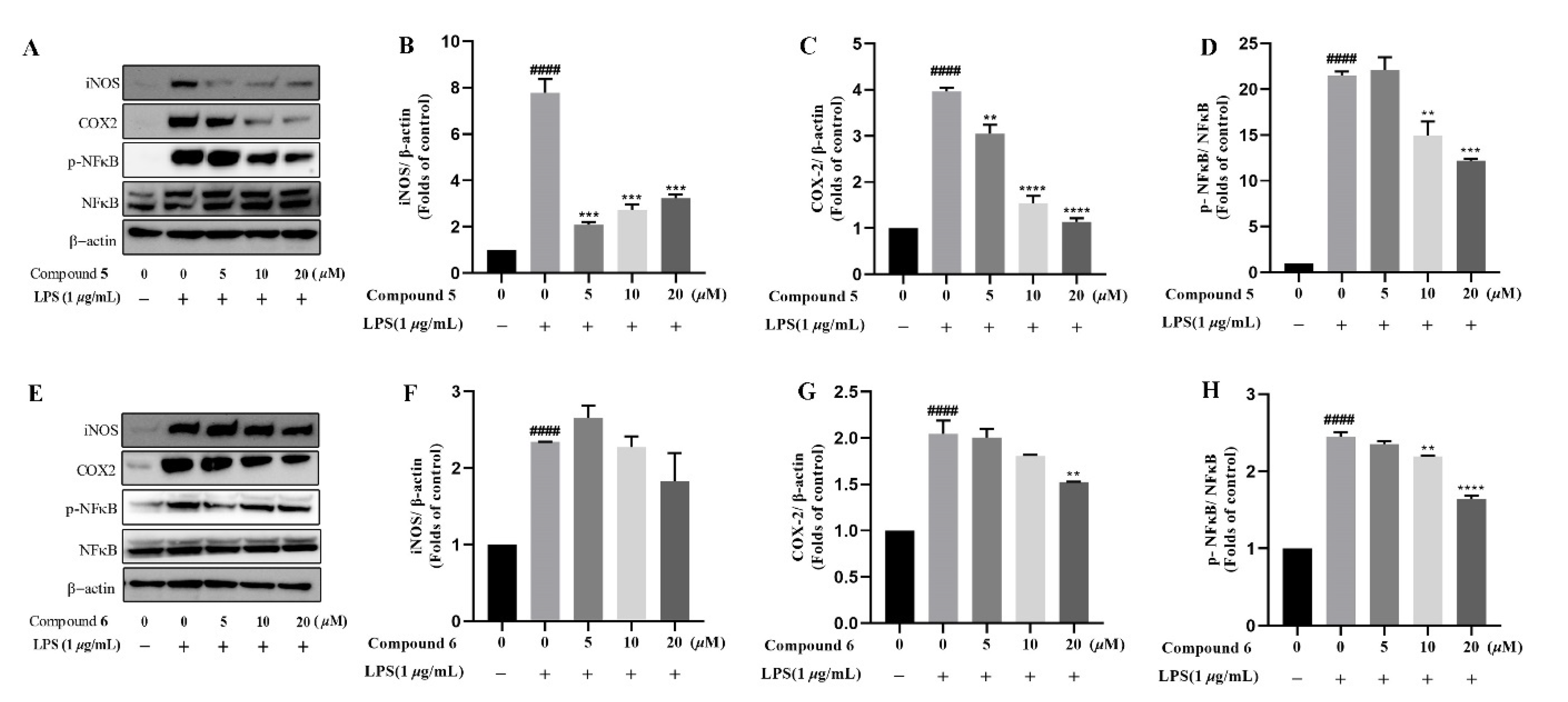 Molecules 27 02890 g007
