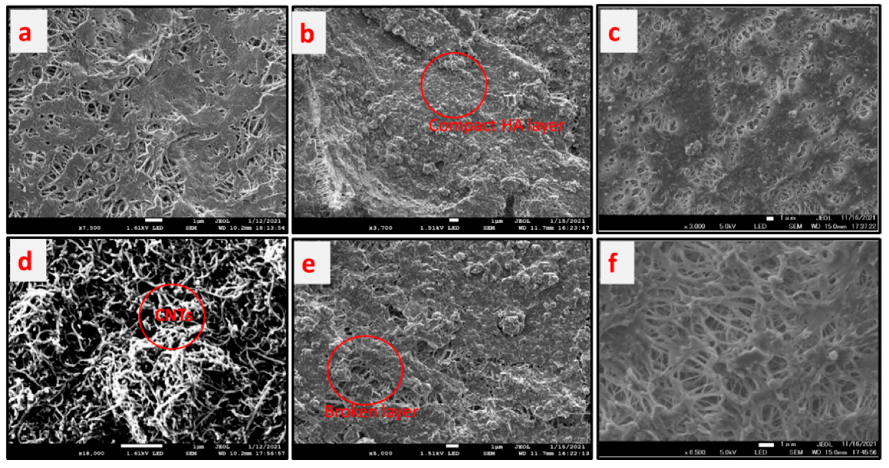Molecules 27 02896 g009