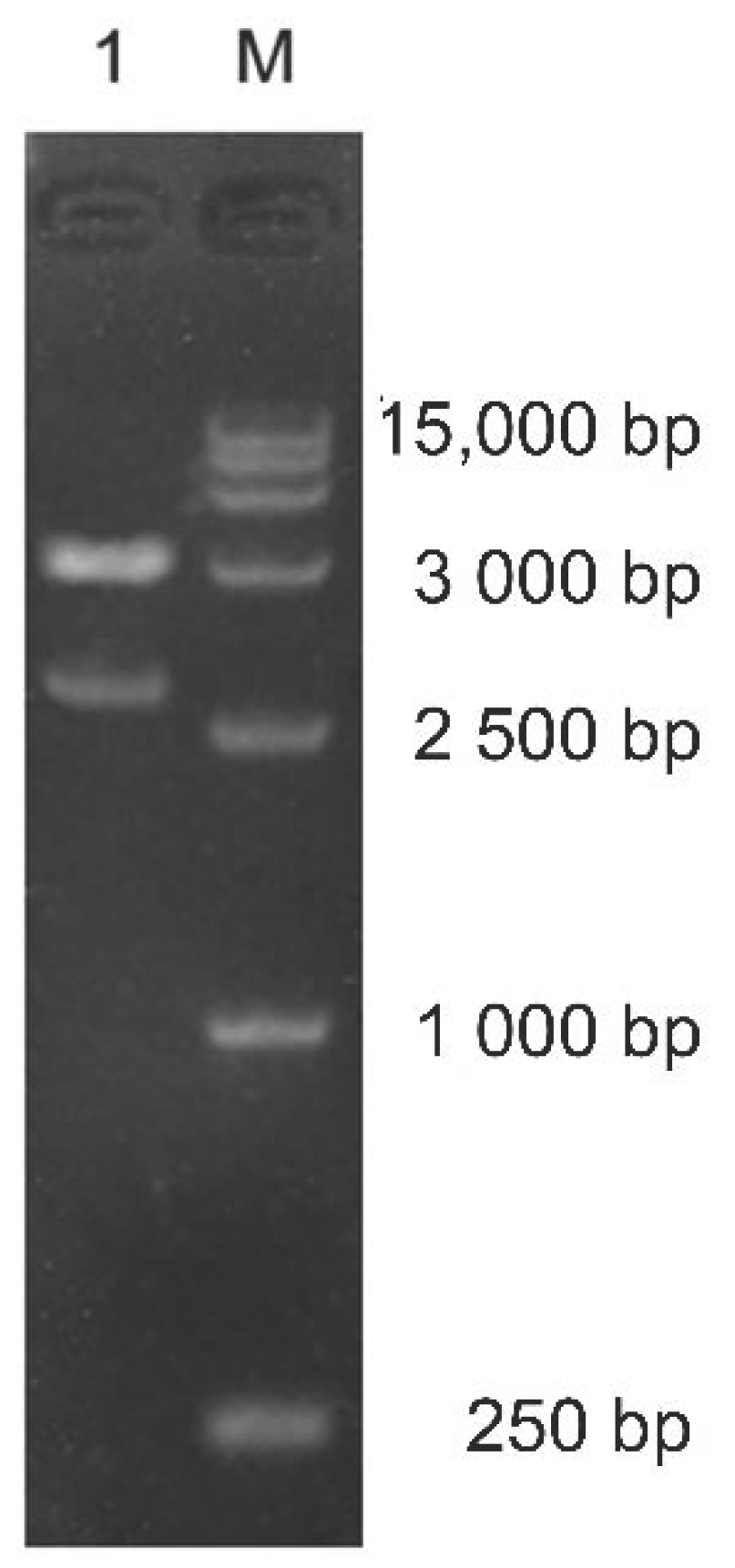 Molecules 27 02897 g002 Molecules 27 02897 g002