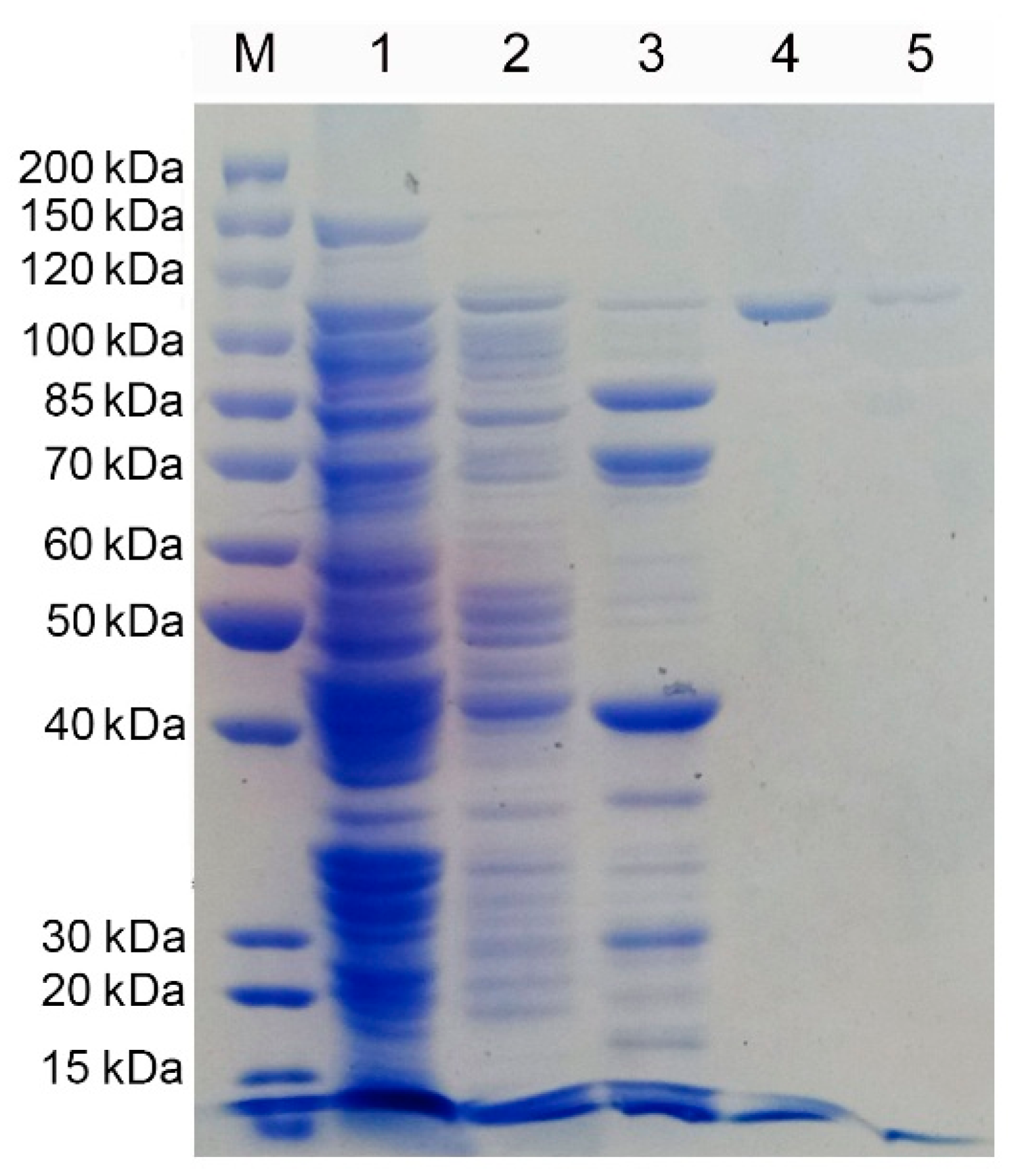 Molecules 27 02897 g003 Molecules 27 02897 g003