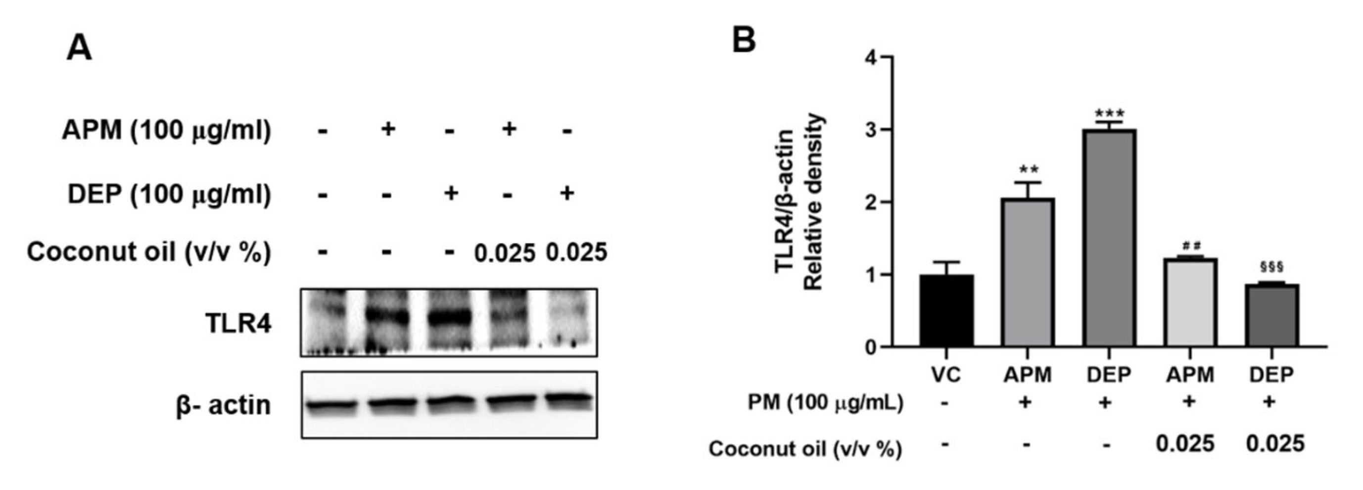 Molecules 27 02898 g006 Molecules 27 02898 g006