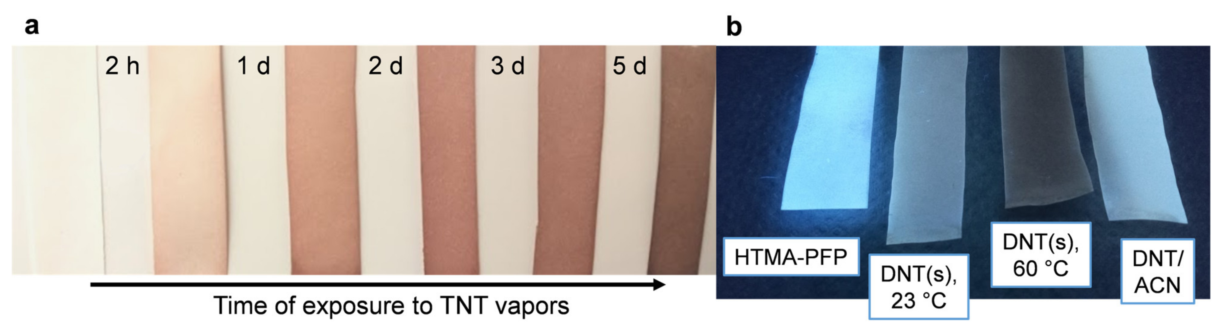 Molecules 27 02900 g002