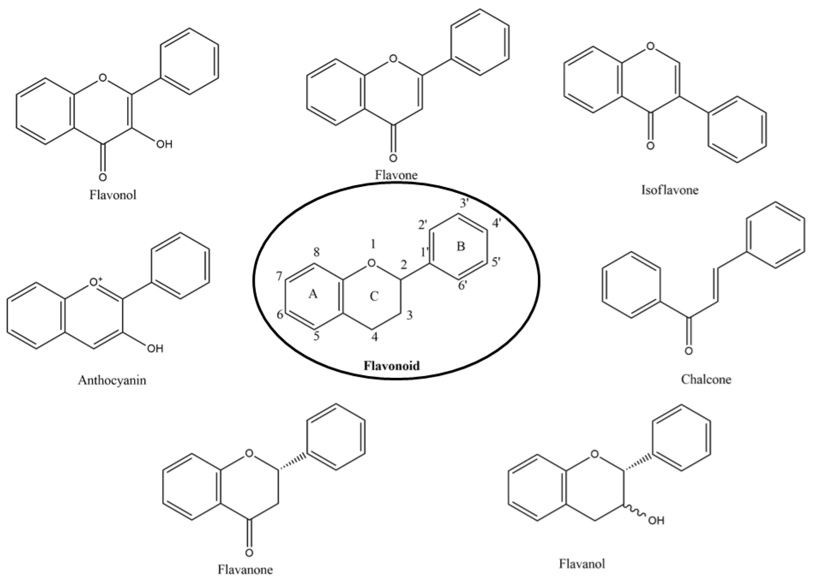 Molecules 27 02901 g001