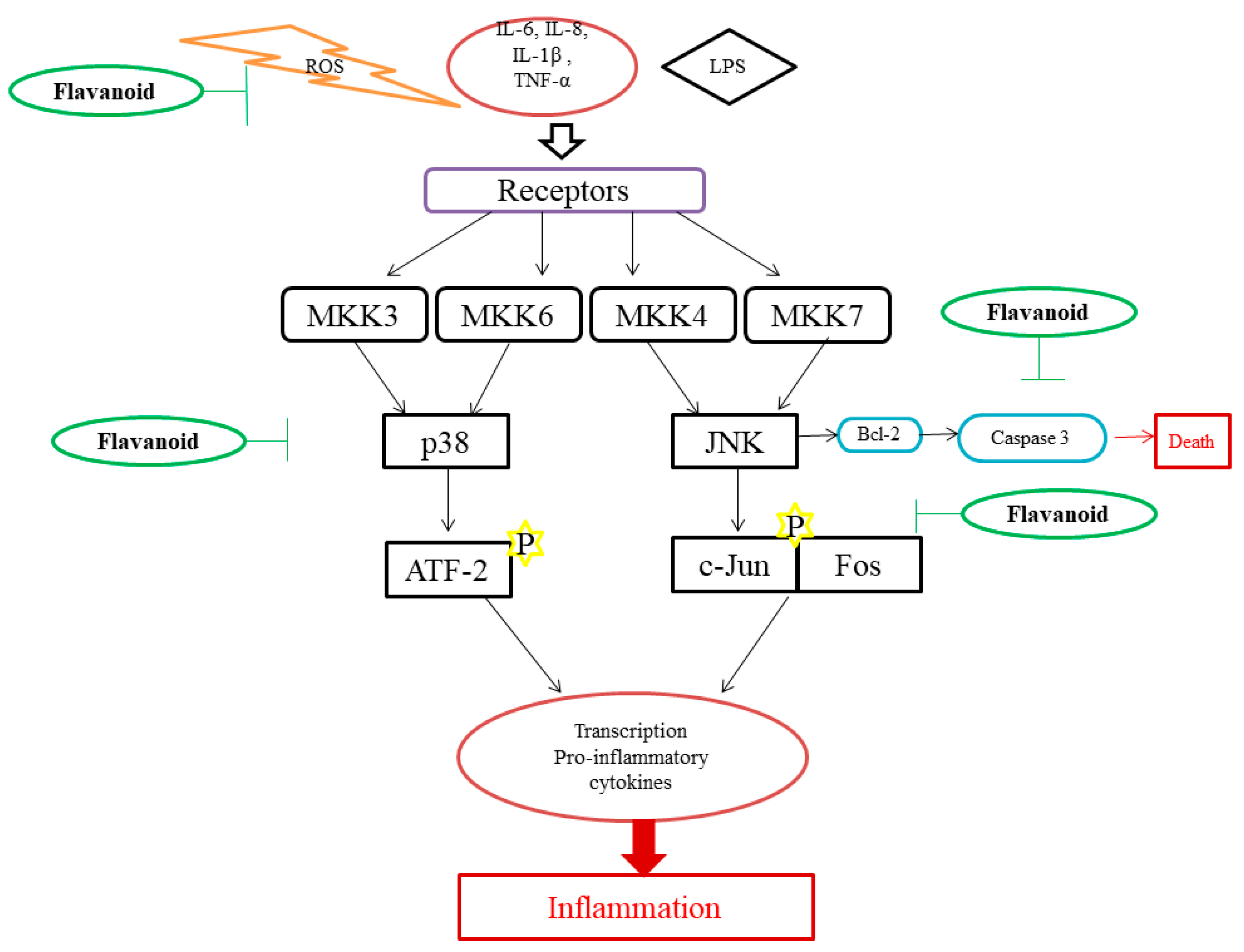 Molecules 27 02901 g004