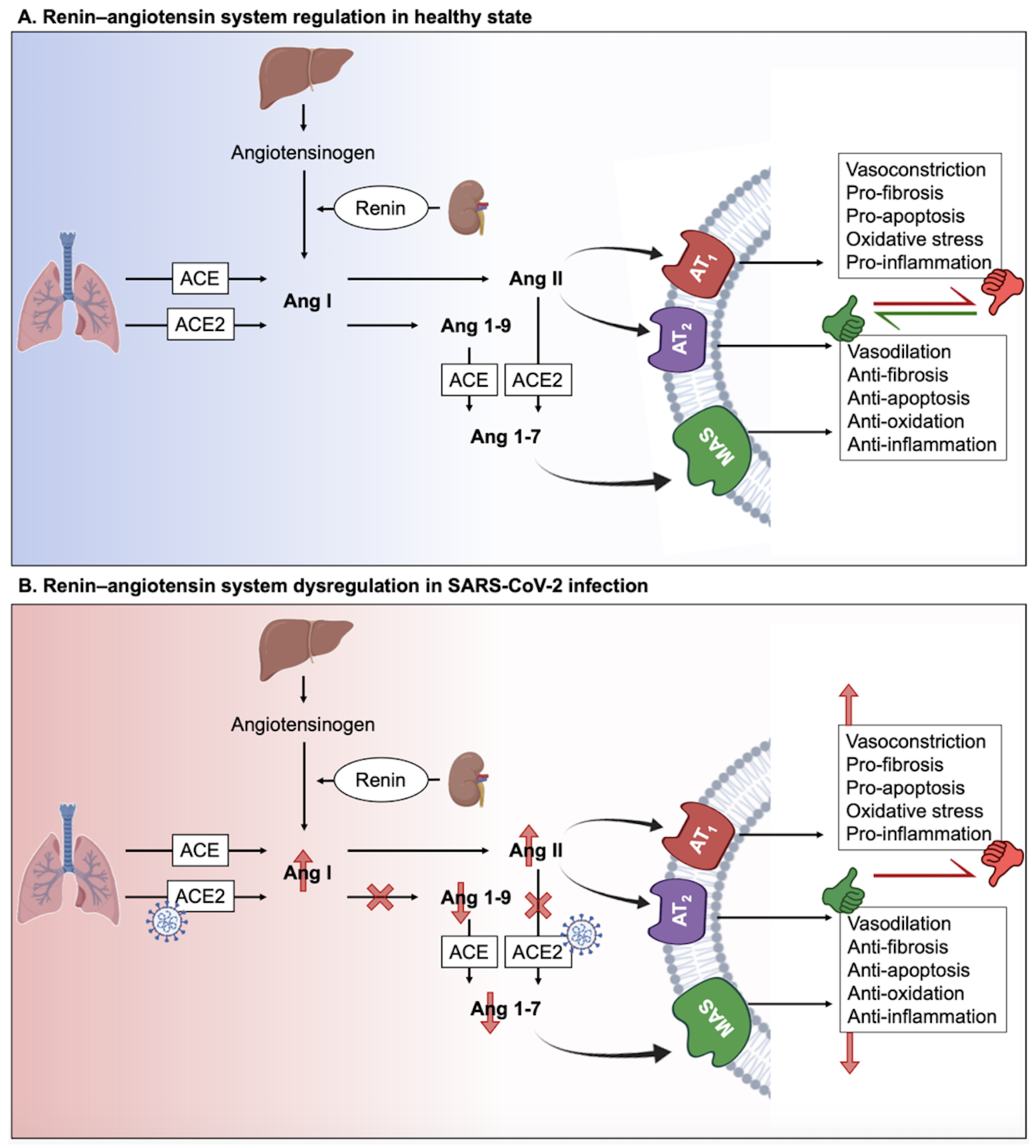 Molecules 27 02903 g001 Molecules 27 02903 g001