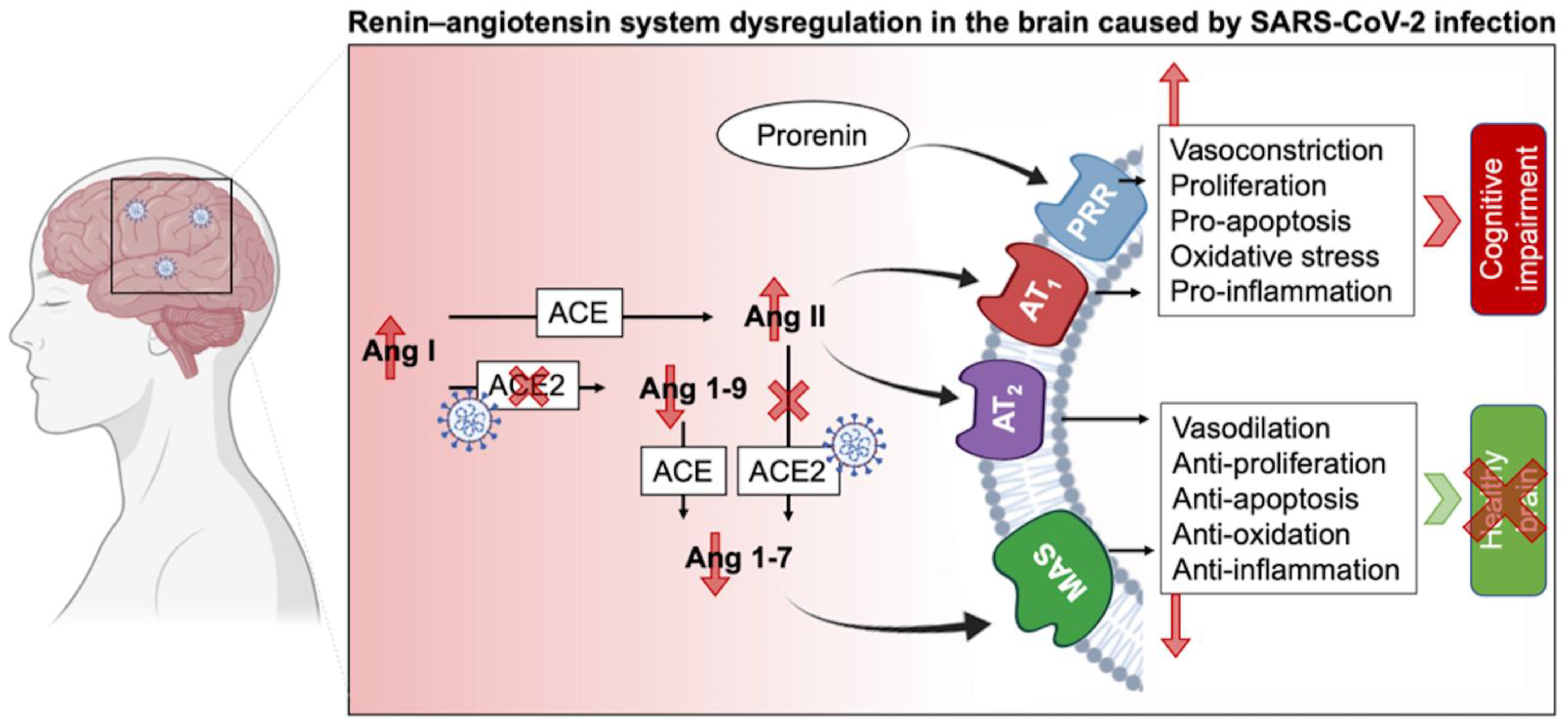 Molecules 27 02903 g002 Molecules 27 02903 g002