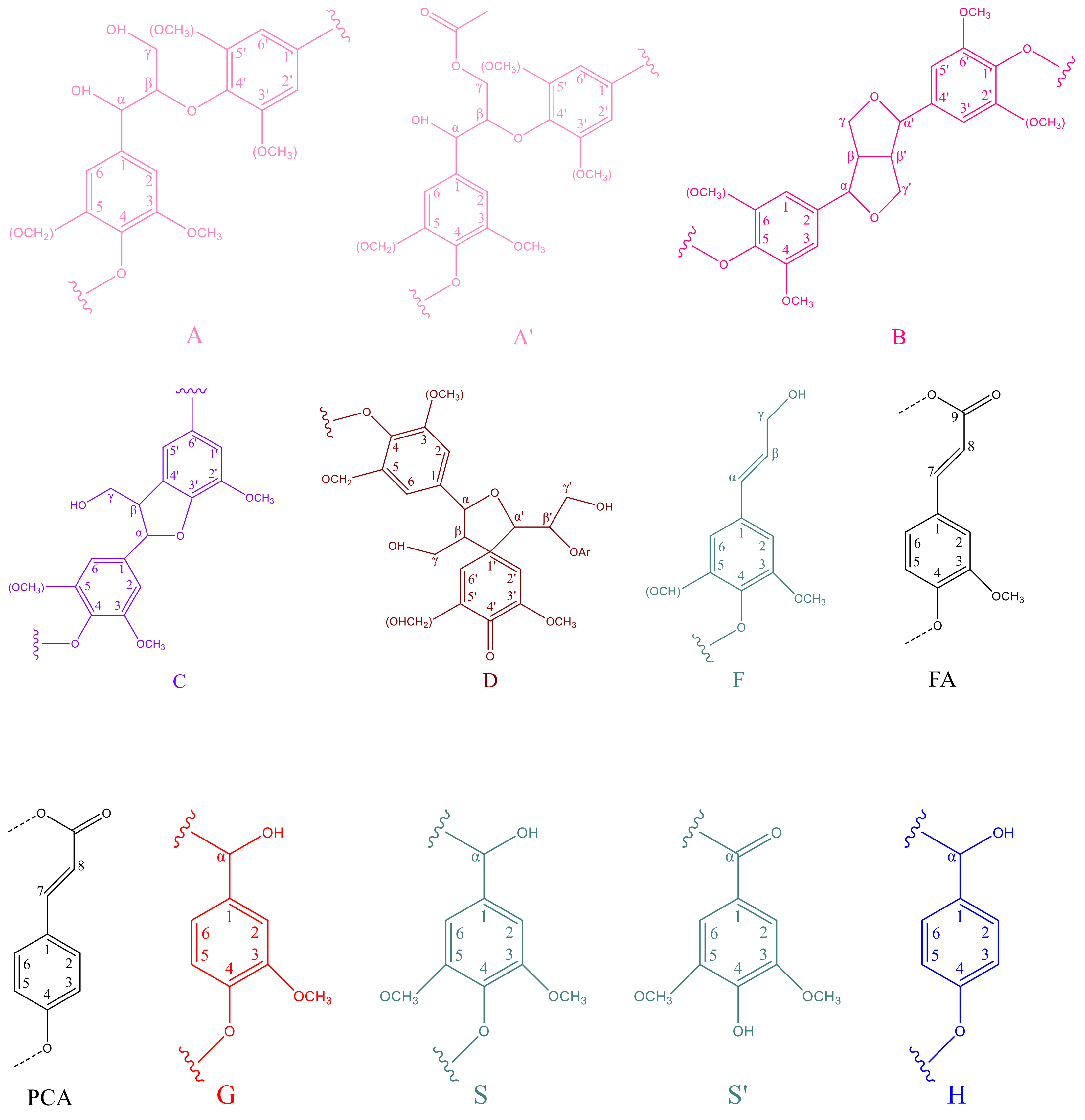 Molecules 27 02905 g004