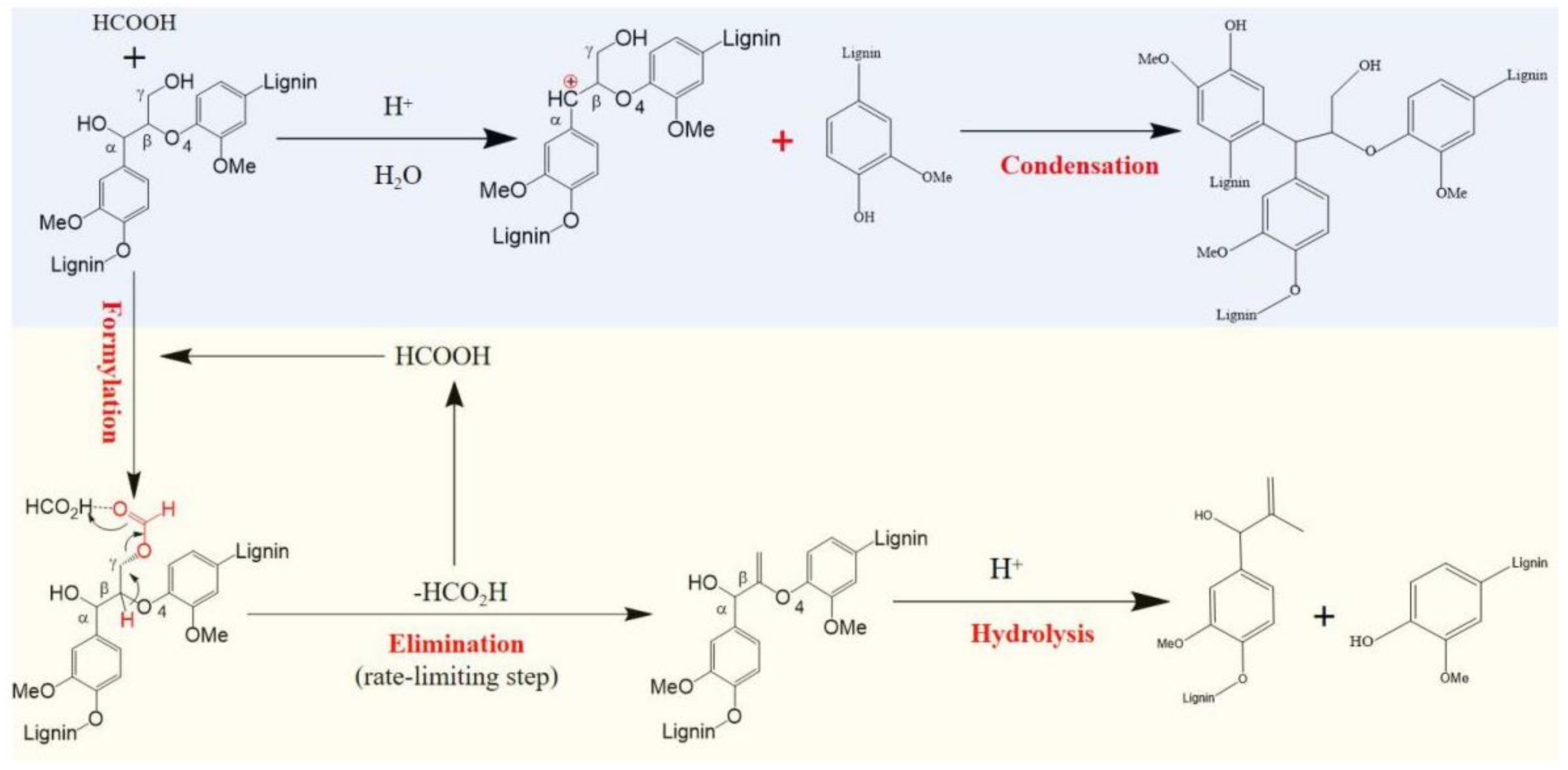 Molecules 27 02905 g006