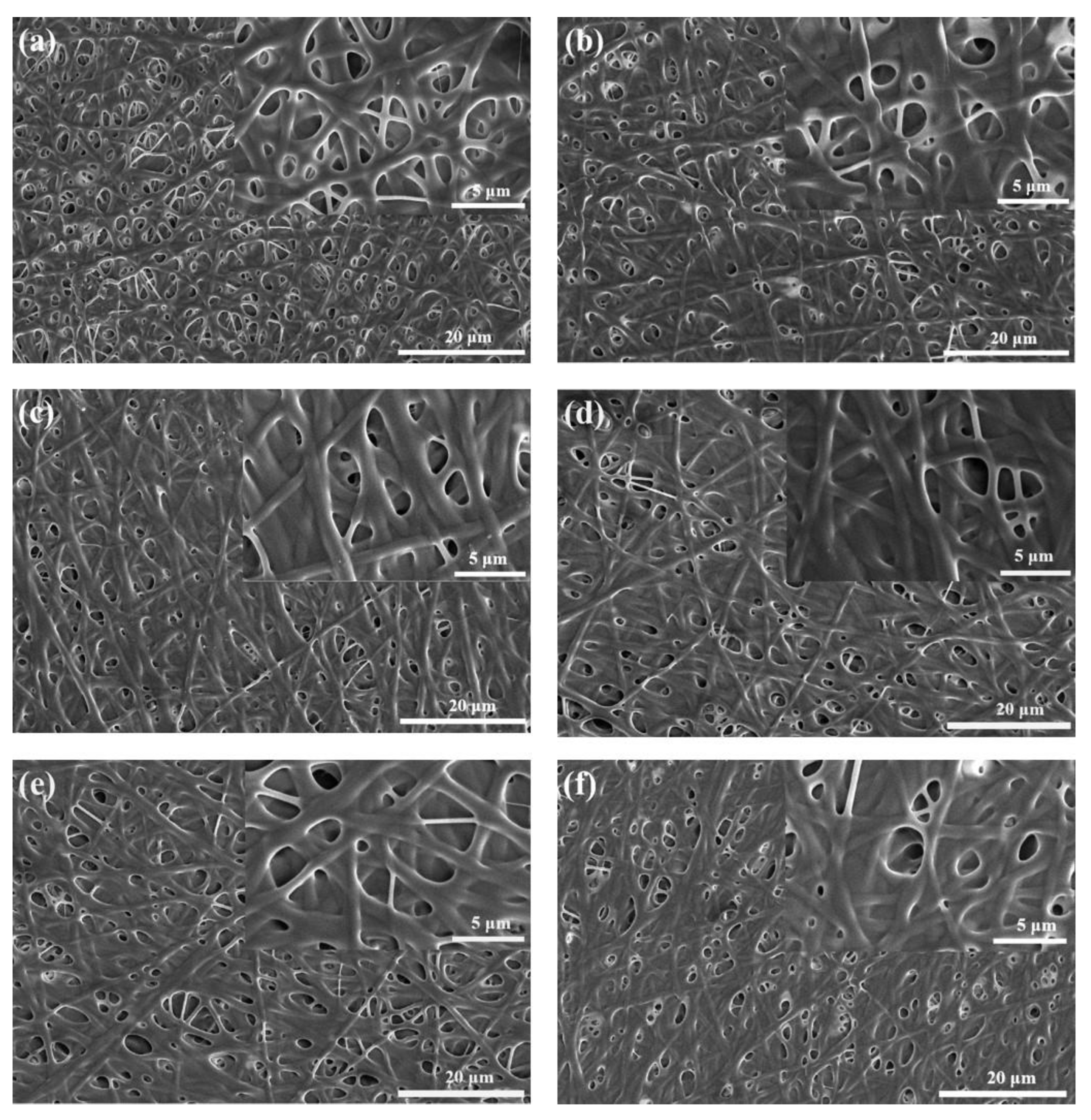 Molecules 27 02906 g001 Molecules 27 02906 g001