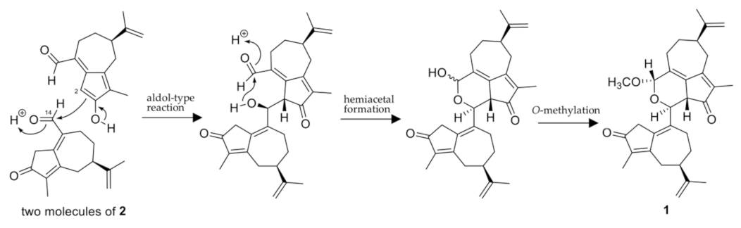 Molecules 27 02909 g004