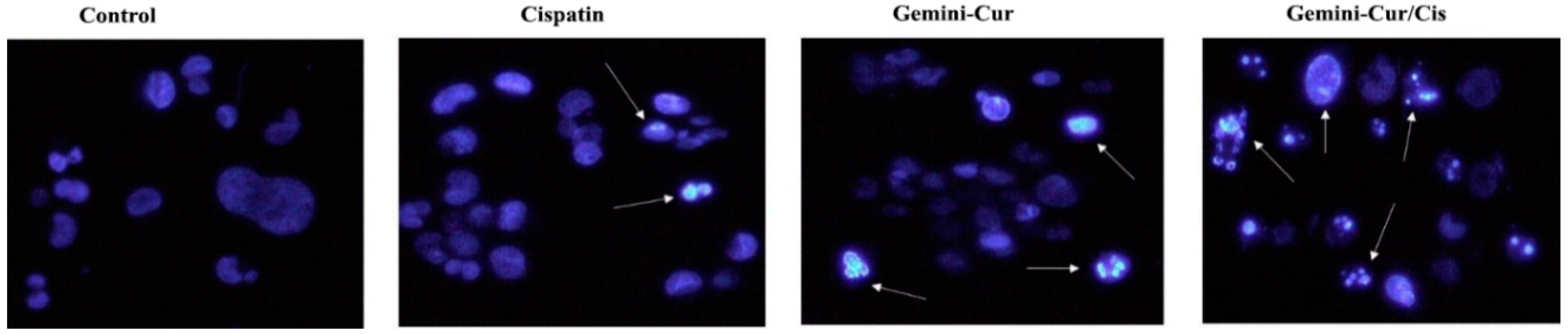 Molecules 27 02917 g003