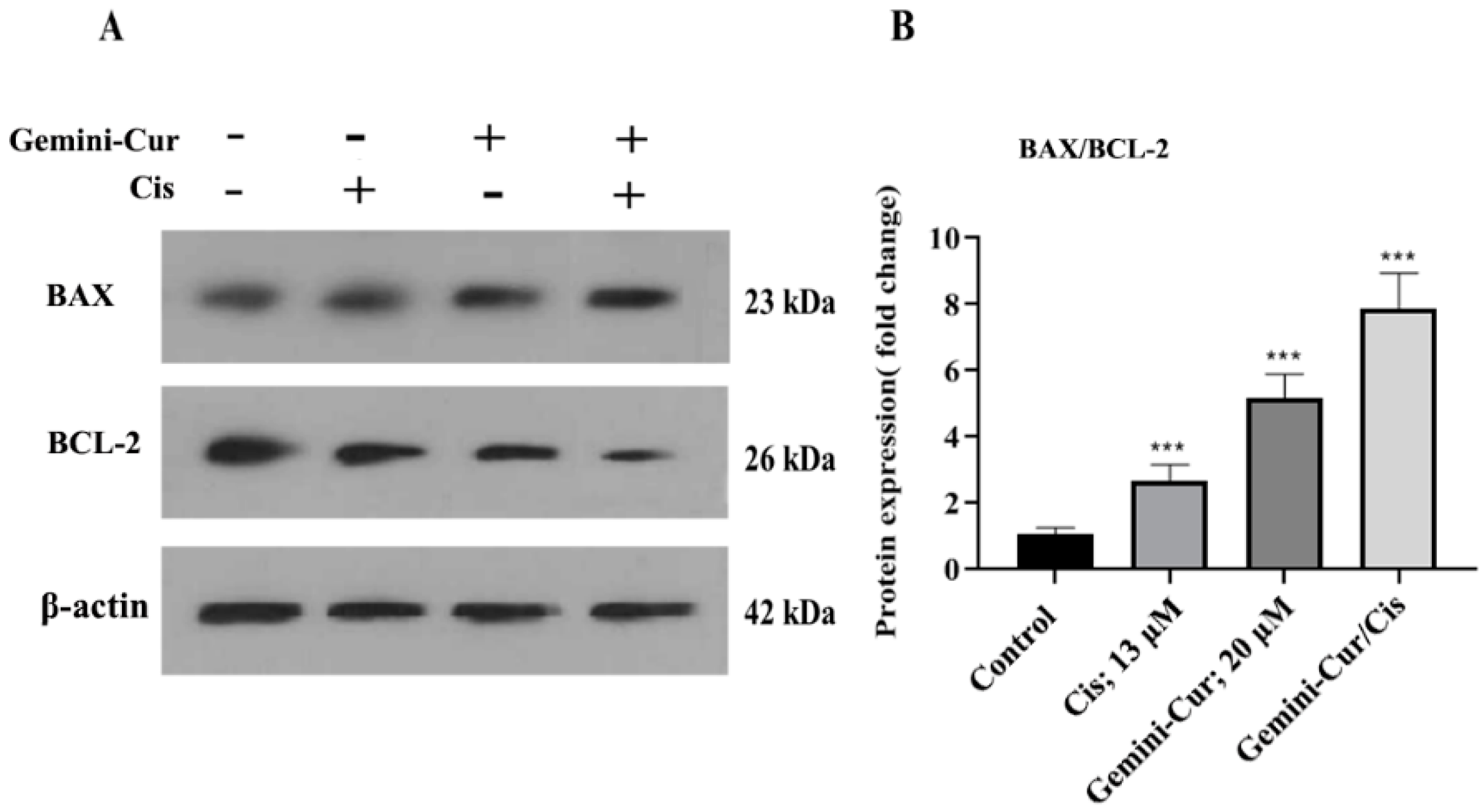 Molecules 27 02917 g007