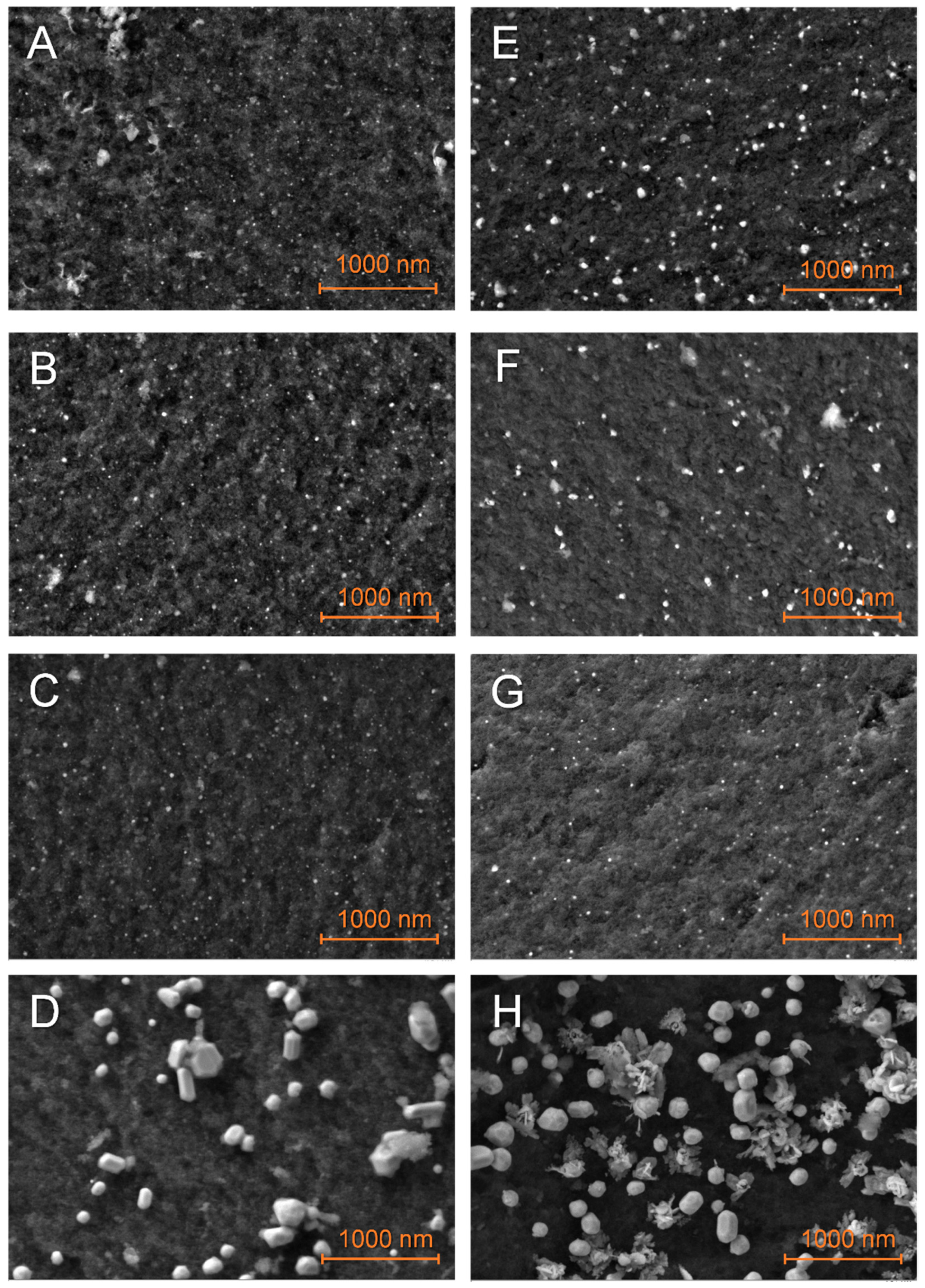 Molecules 27 02921 g004