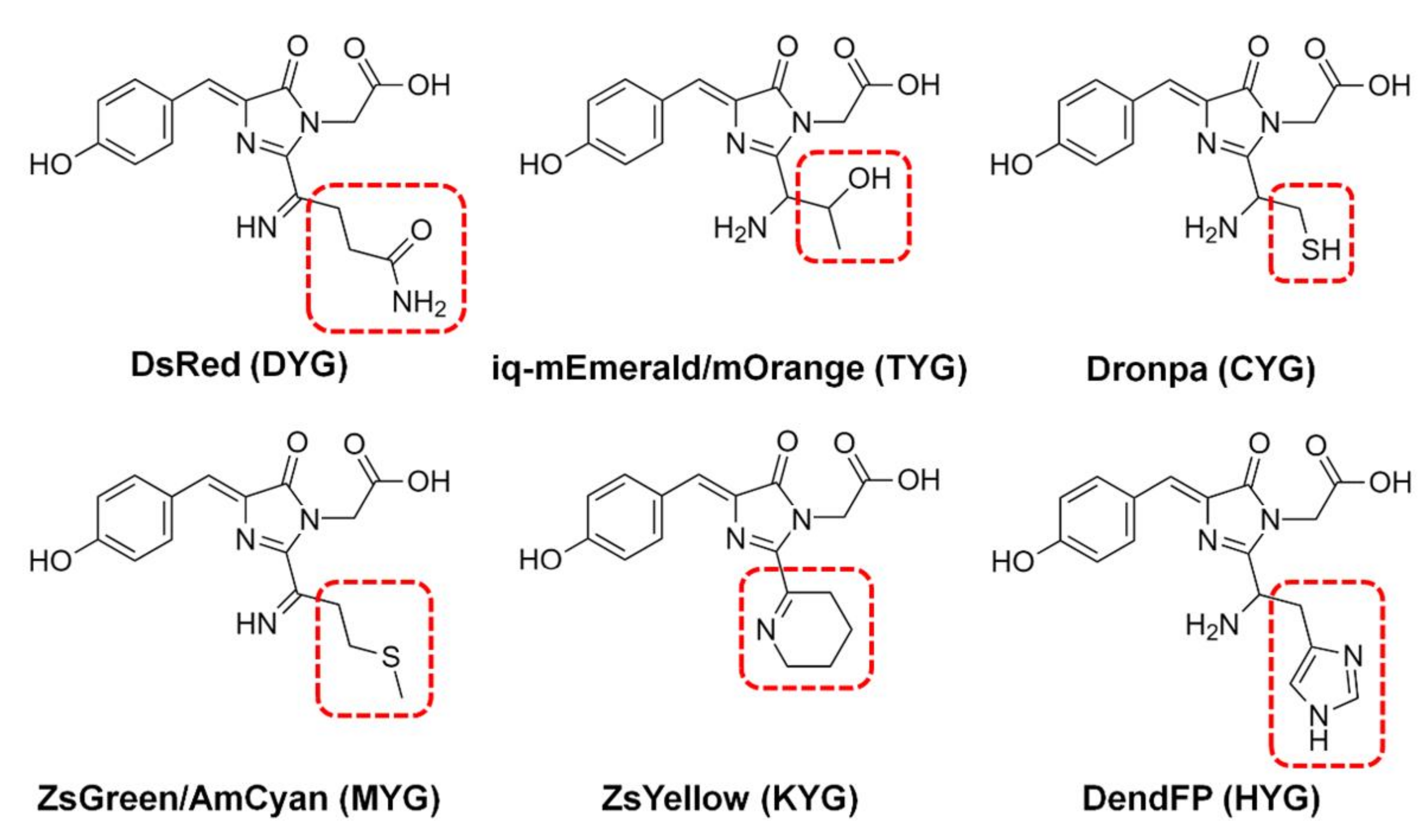 Molecules 27 02922 g001