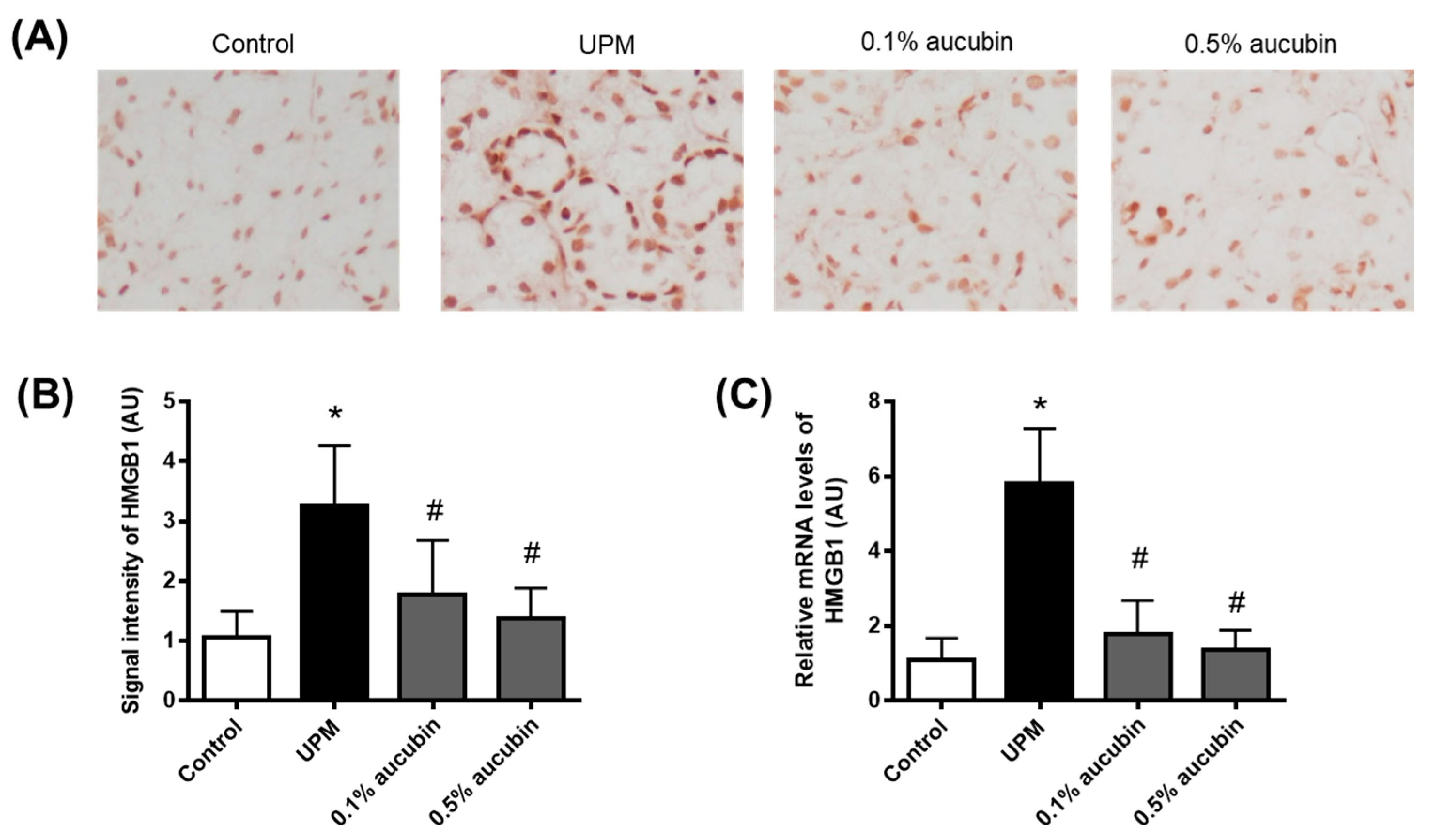 Molecules 27 02926 g004