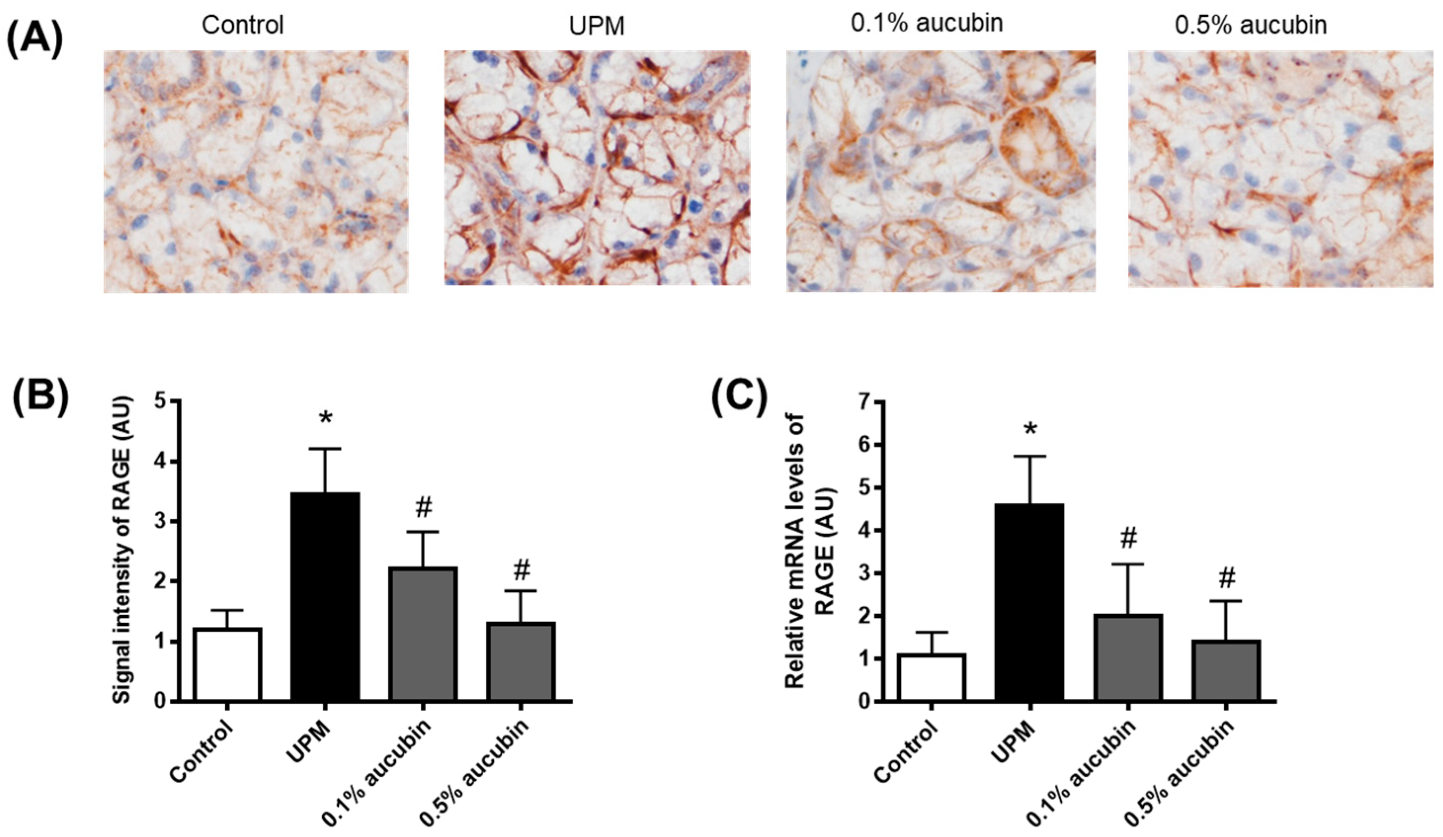 Molecules 27 02926 g005