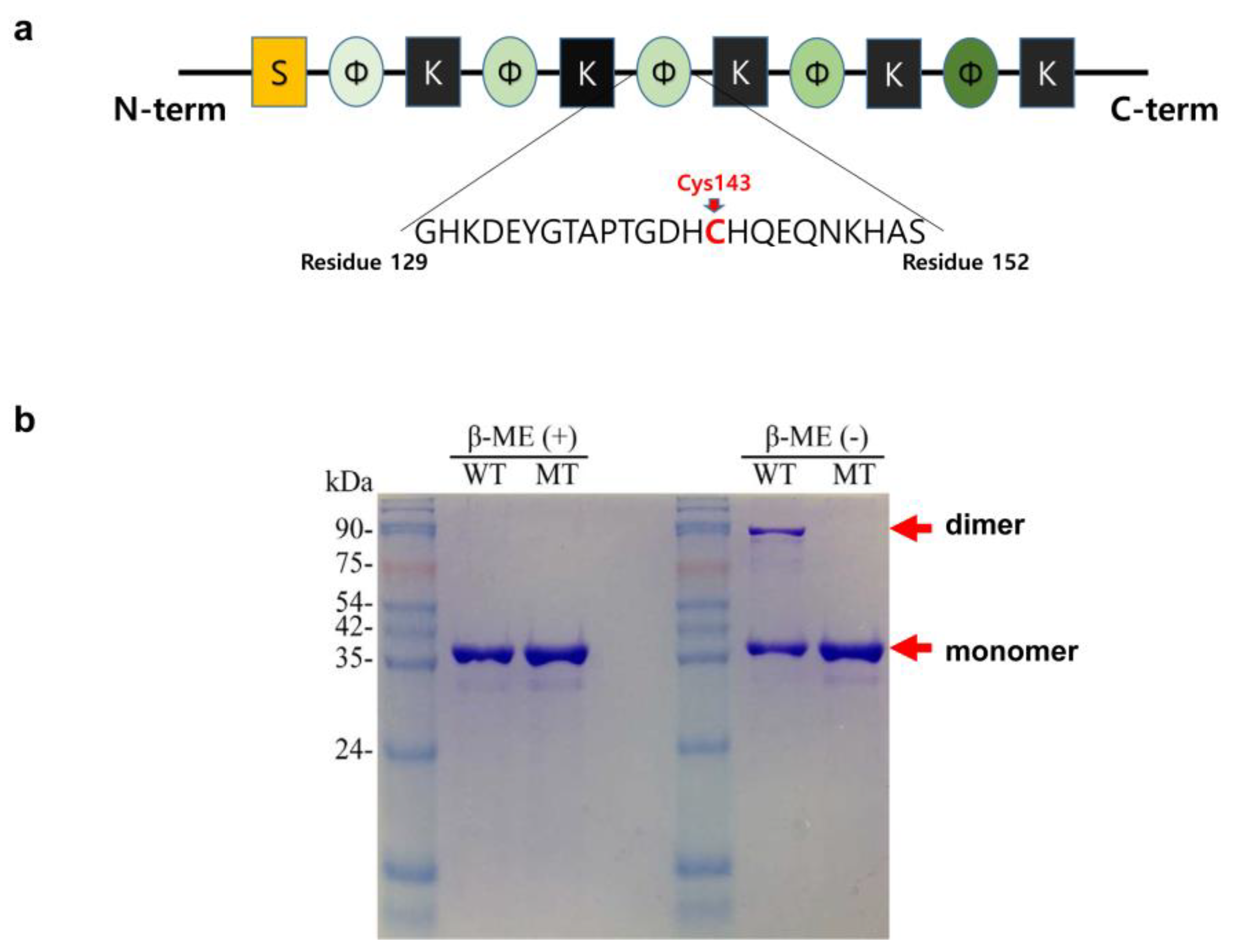 Molecules 27 02934 g001