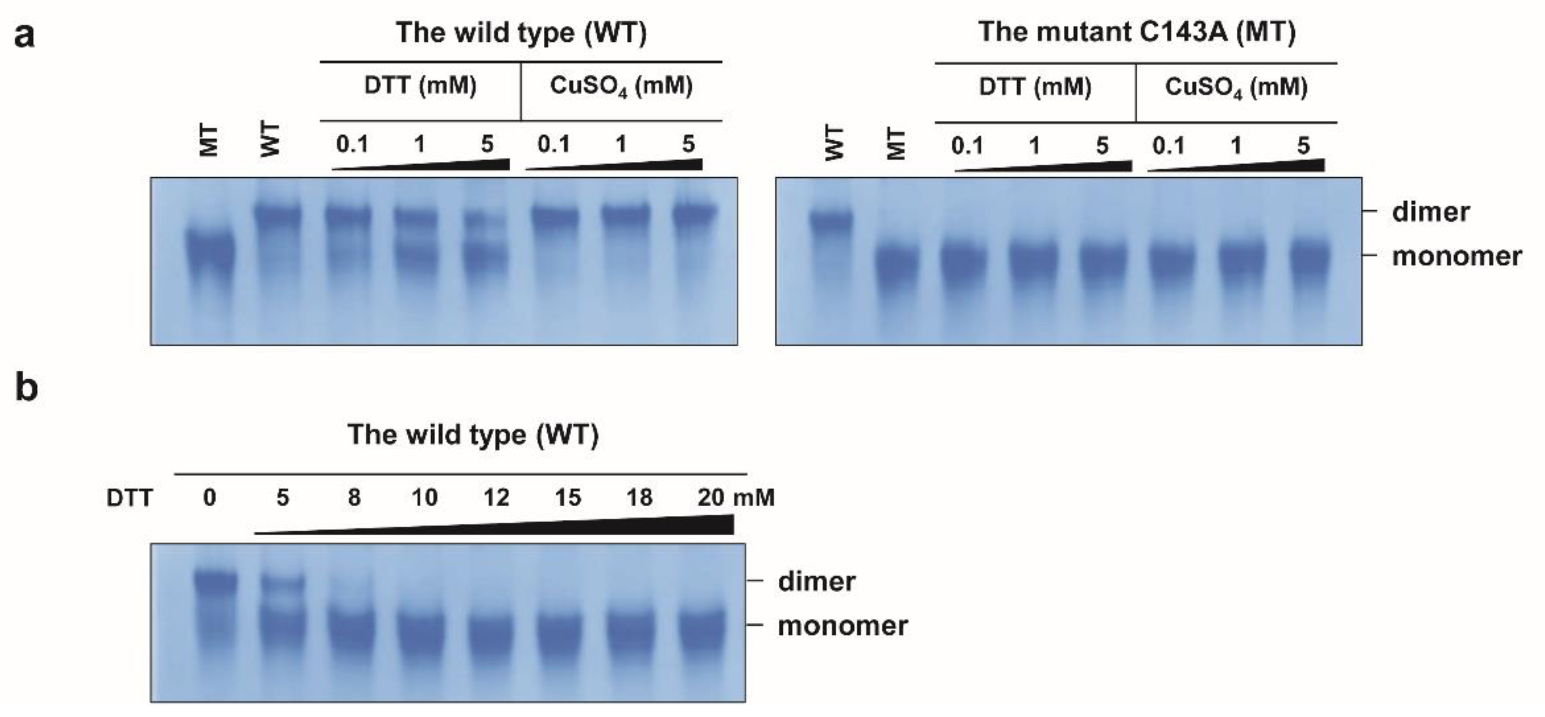 Molecules 27 02934 g002