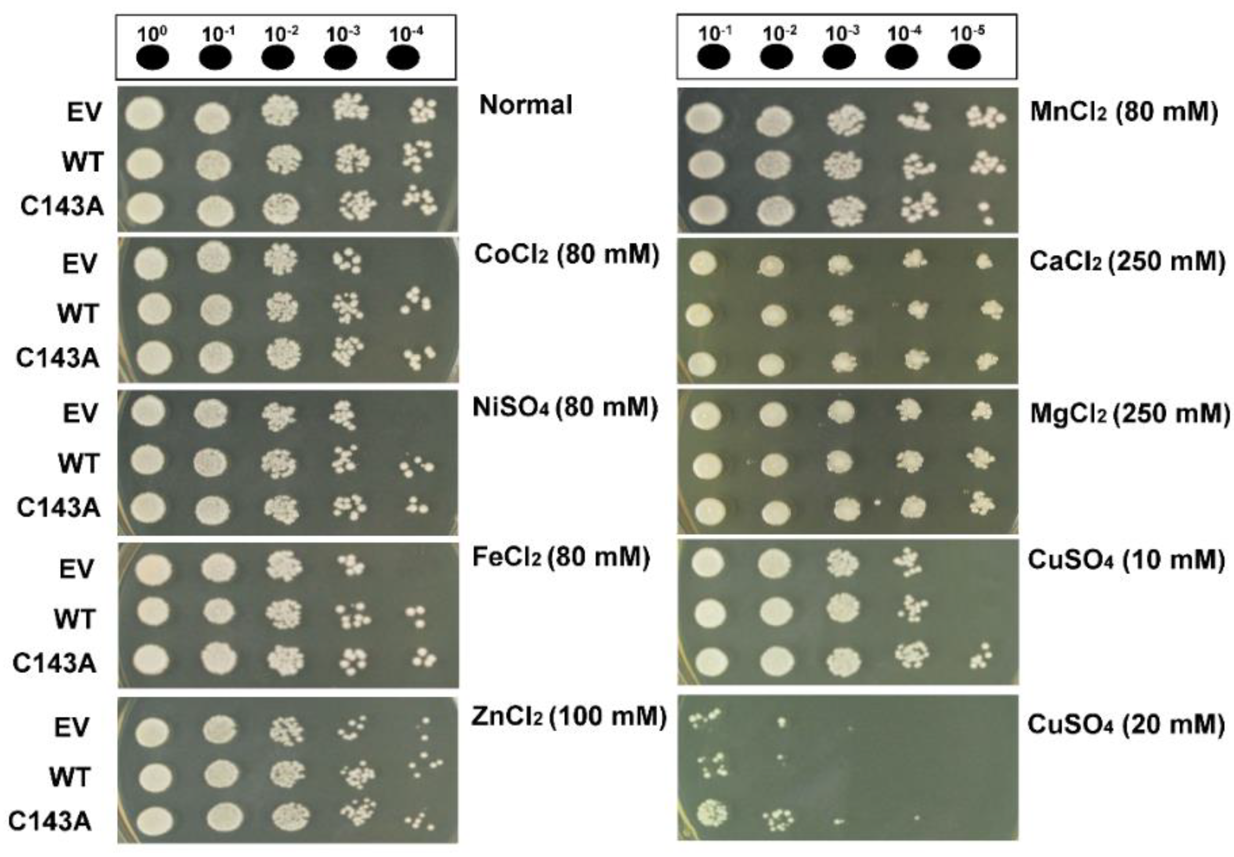 Molecules 27 02934 g003