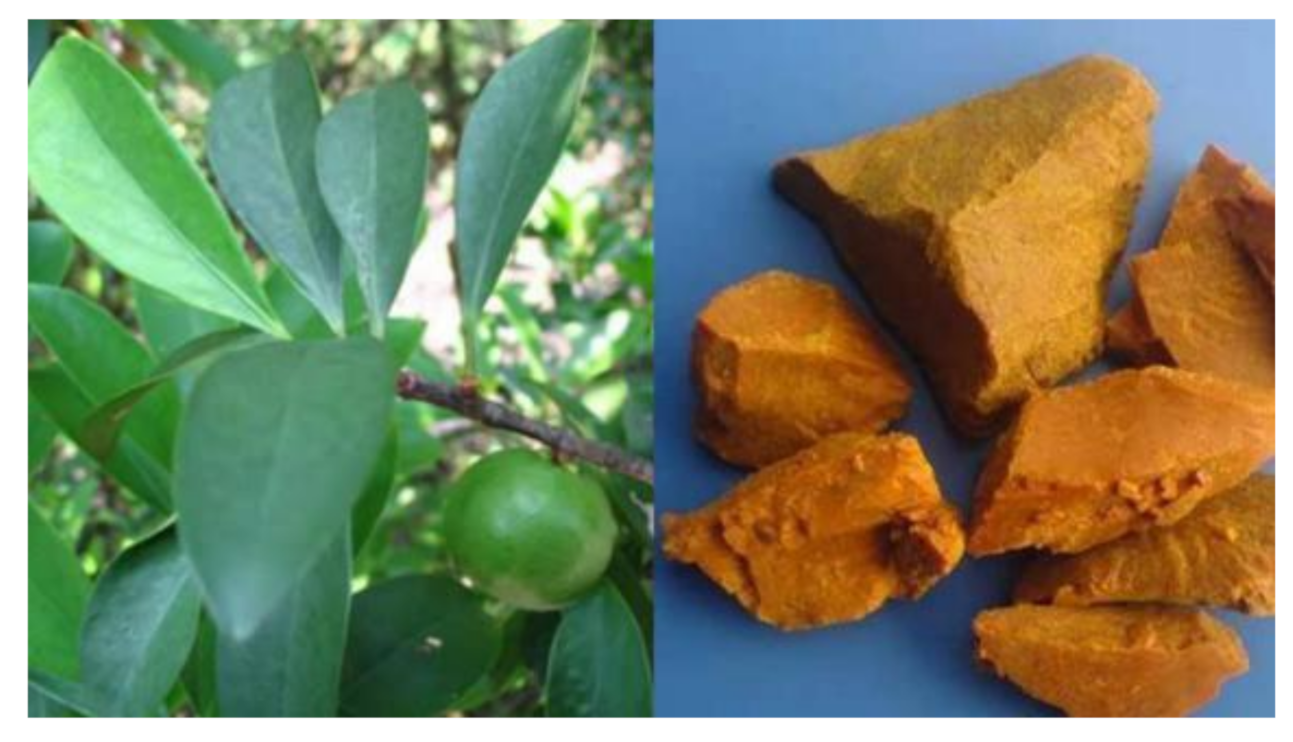 Molecules 27 02937 g001 Molecules 27 02937 g001