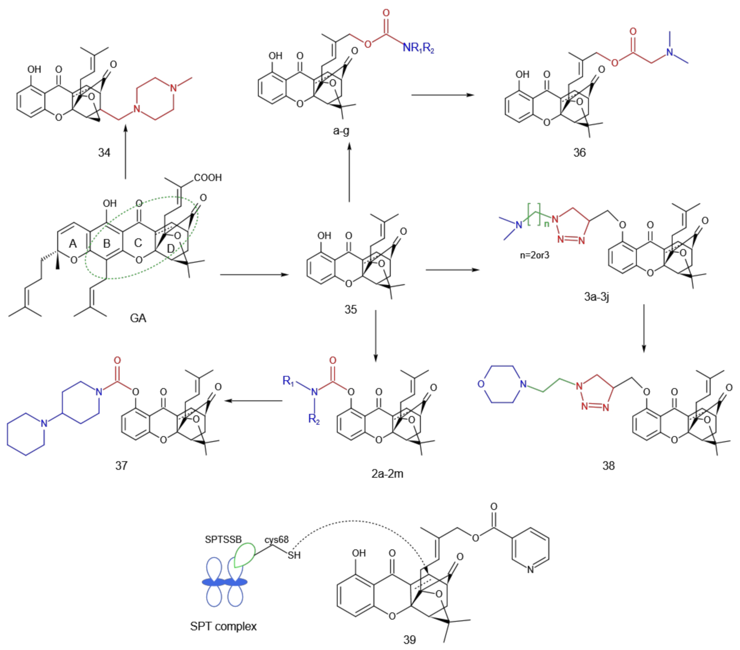 Molecules 27 02937 g009 Molecules 27 02937 g009
