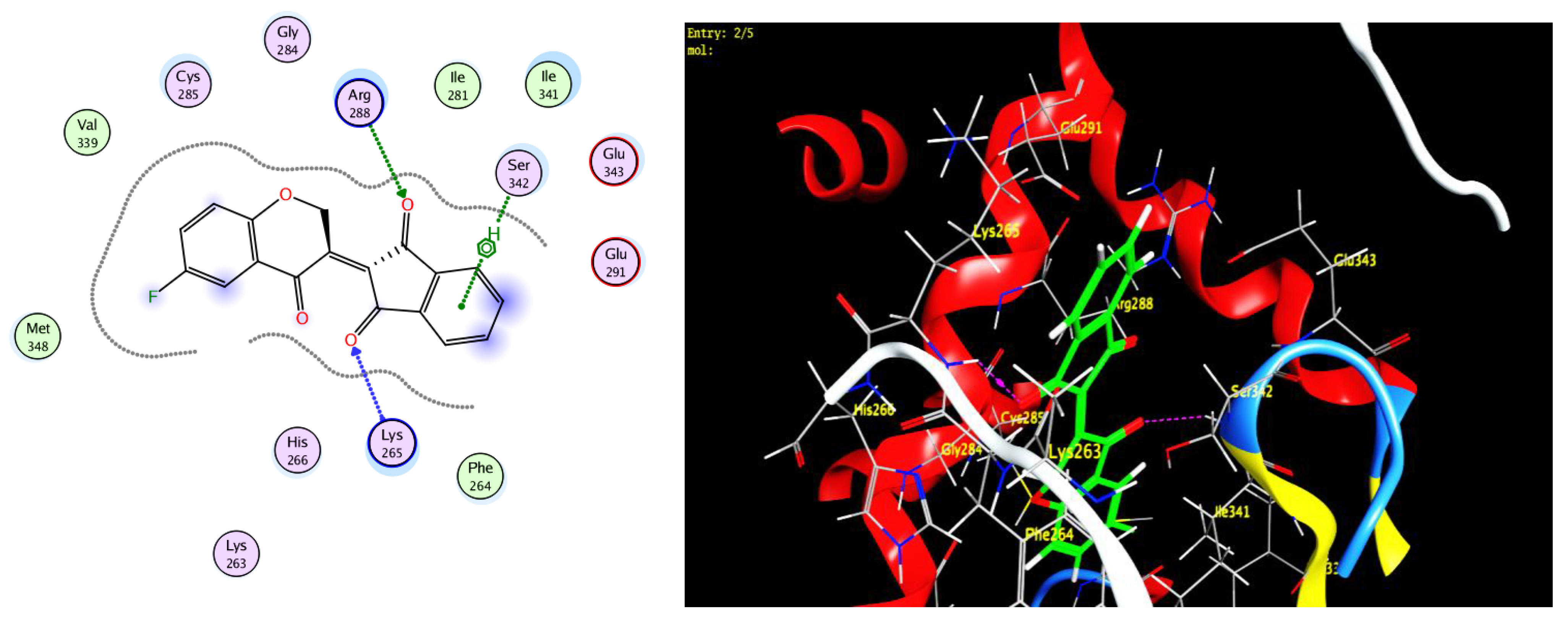 Molecules 27 02940 g009