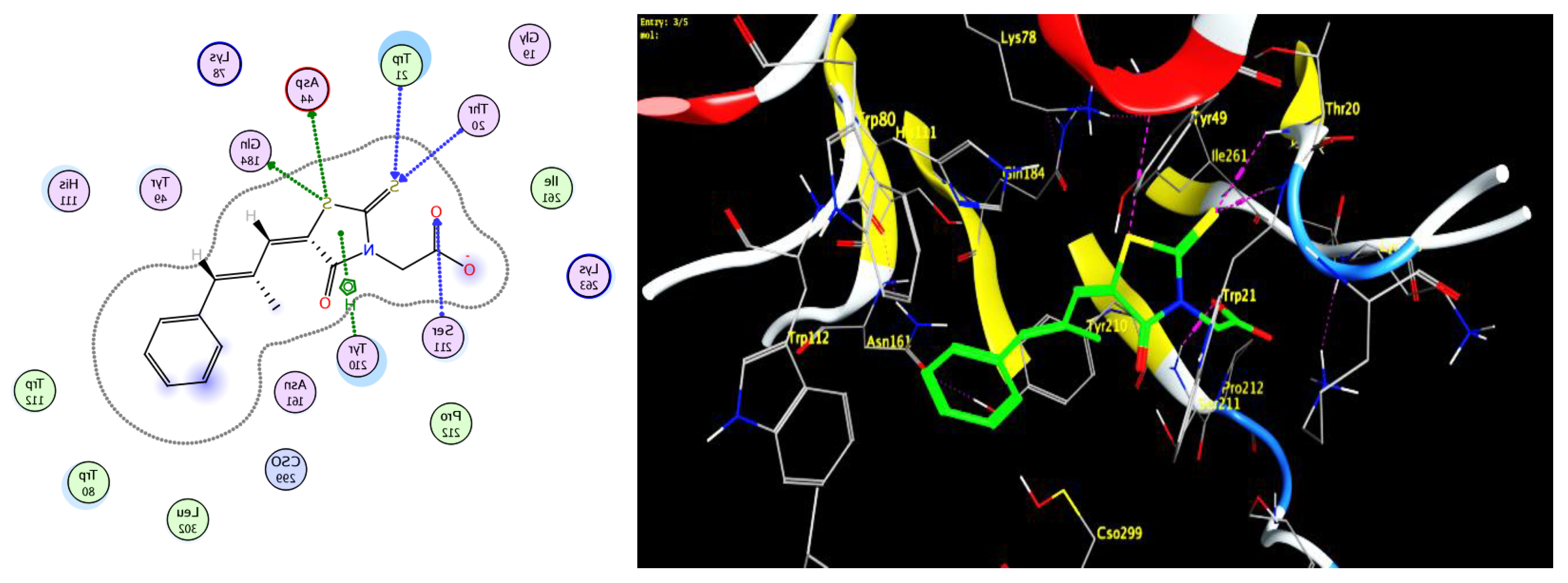 Molecules 27 02940 g010