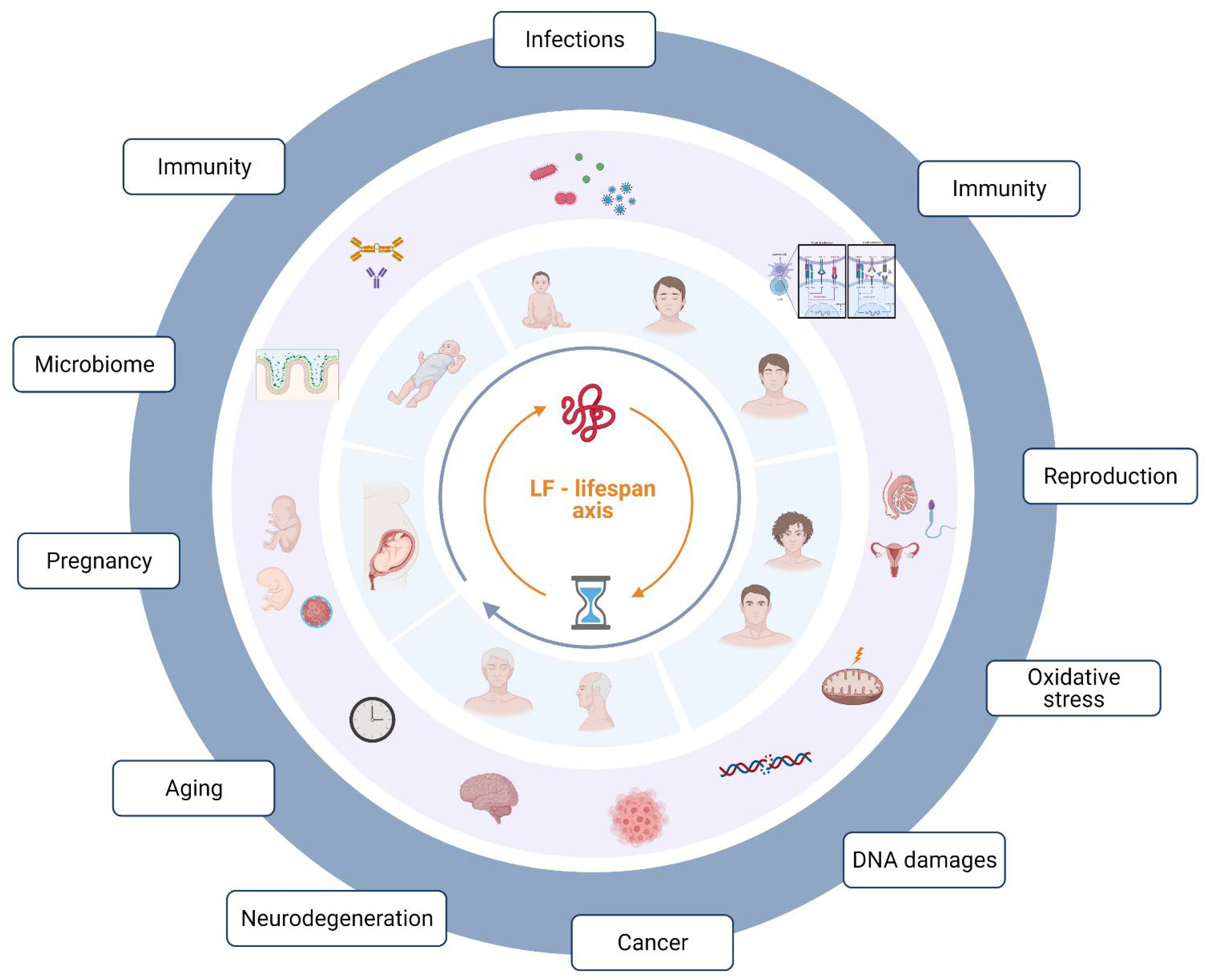 Molecules 27 02941 g001